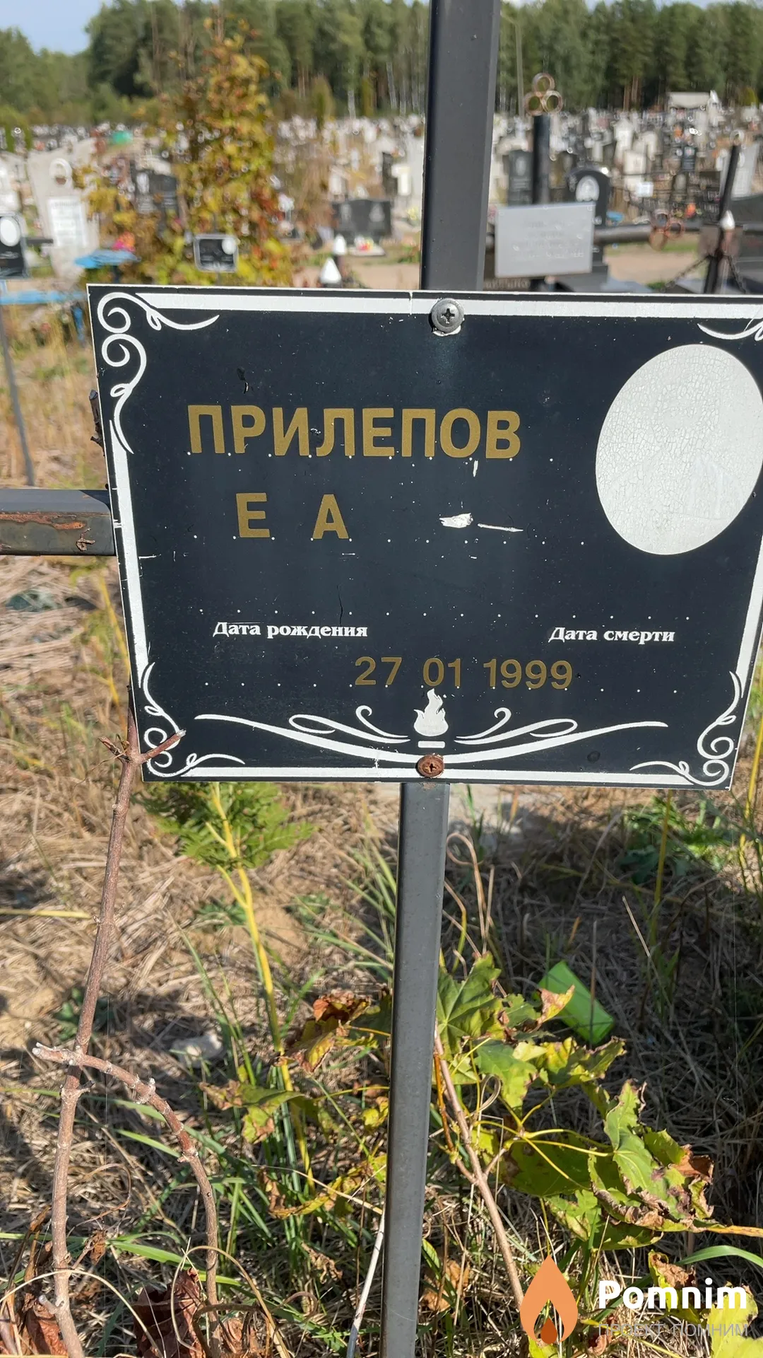 Прилепов Е А