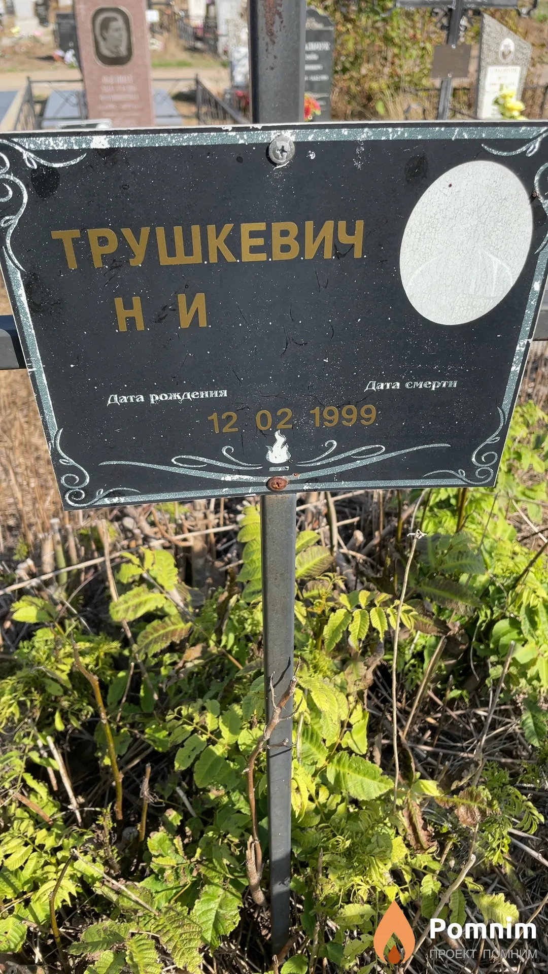 Трушкевич Н И