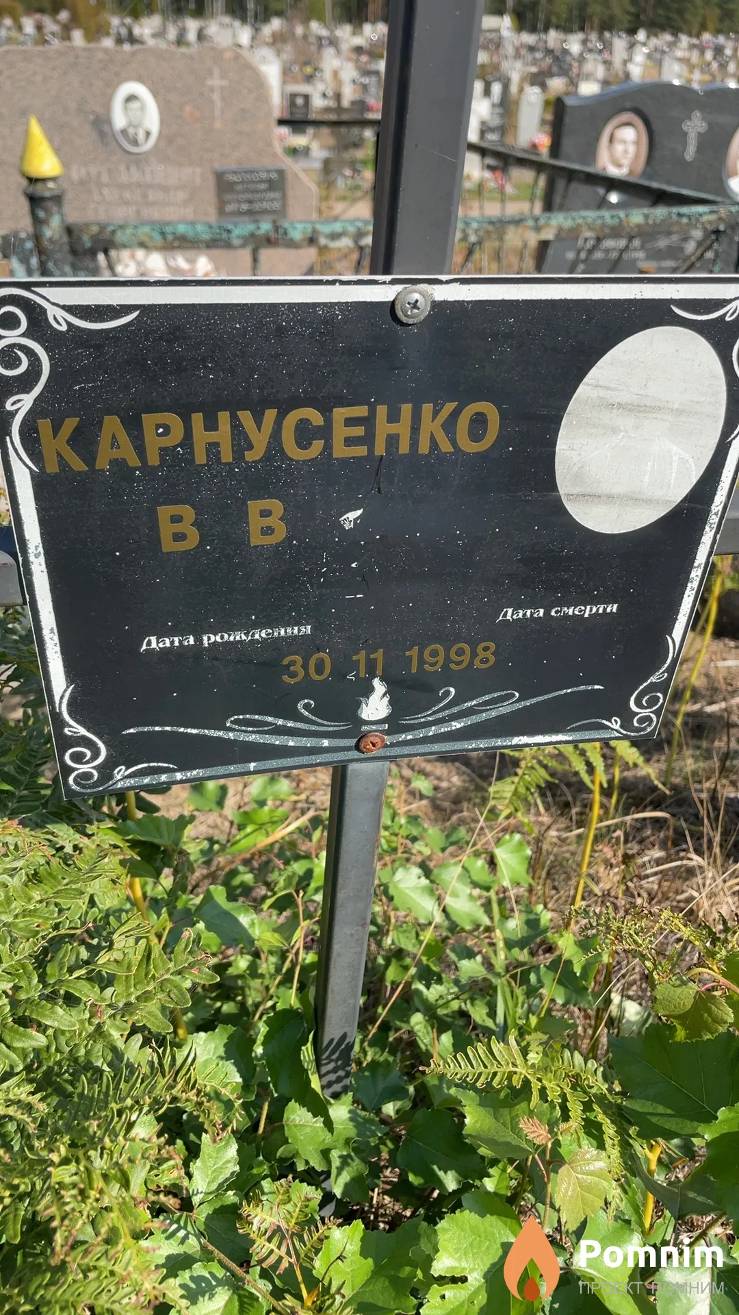 Карнусенко В В