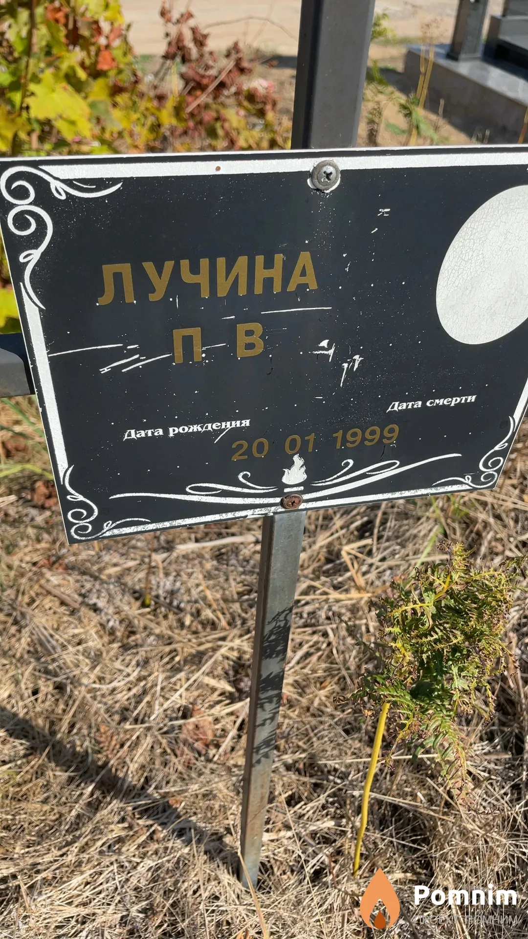 Лучина Л В