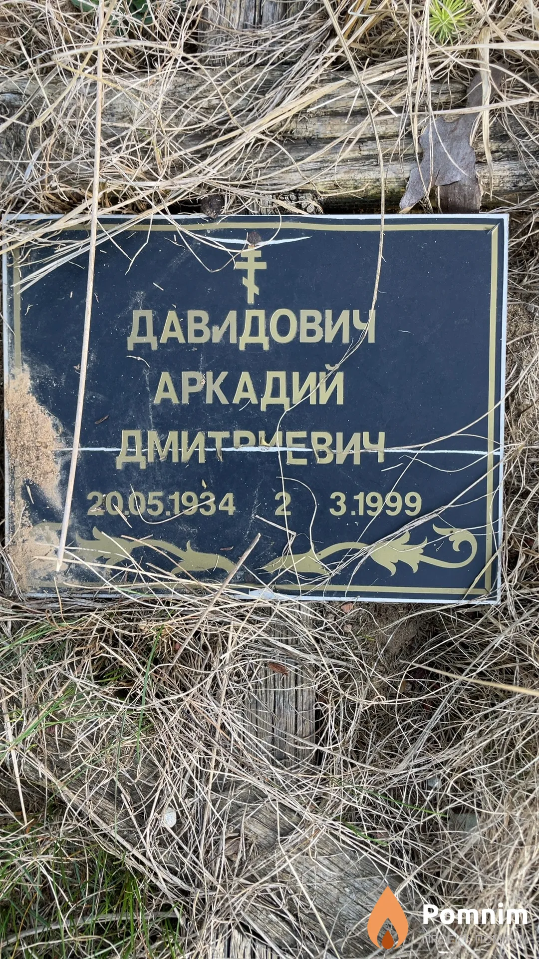 Давидович Аркадий Дмитриевич