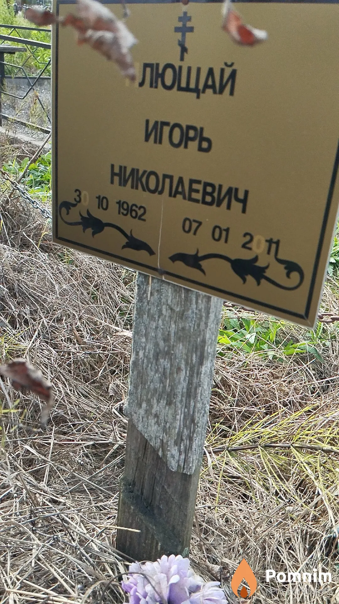 Плющай Игорь Николаевич