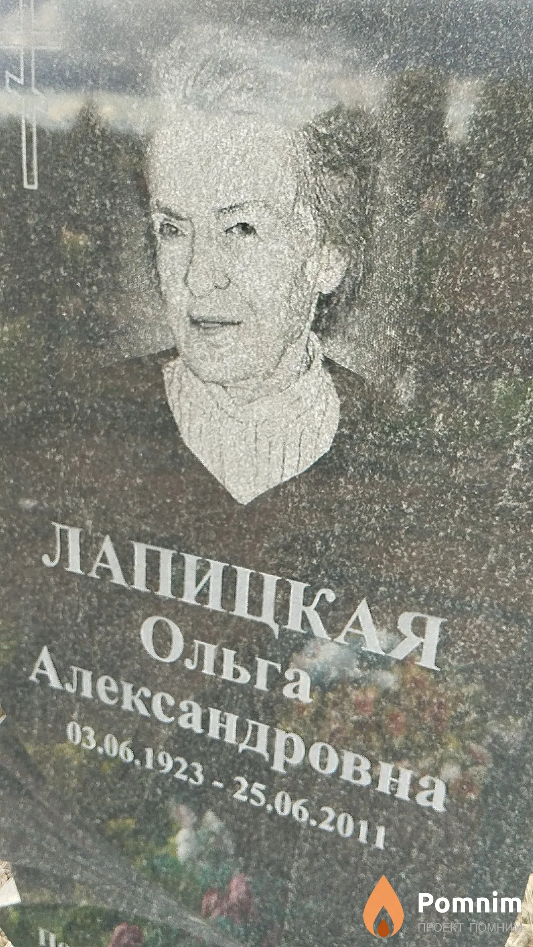 Лапицкая Ольга Александровна