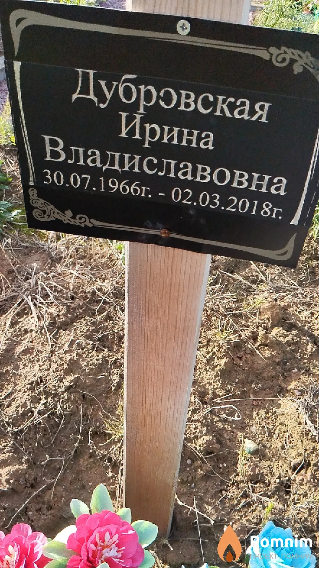 Дубровская Ирина Владиславовна