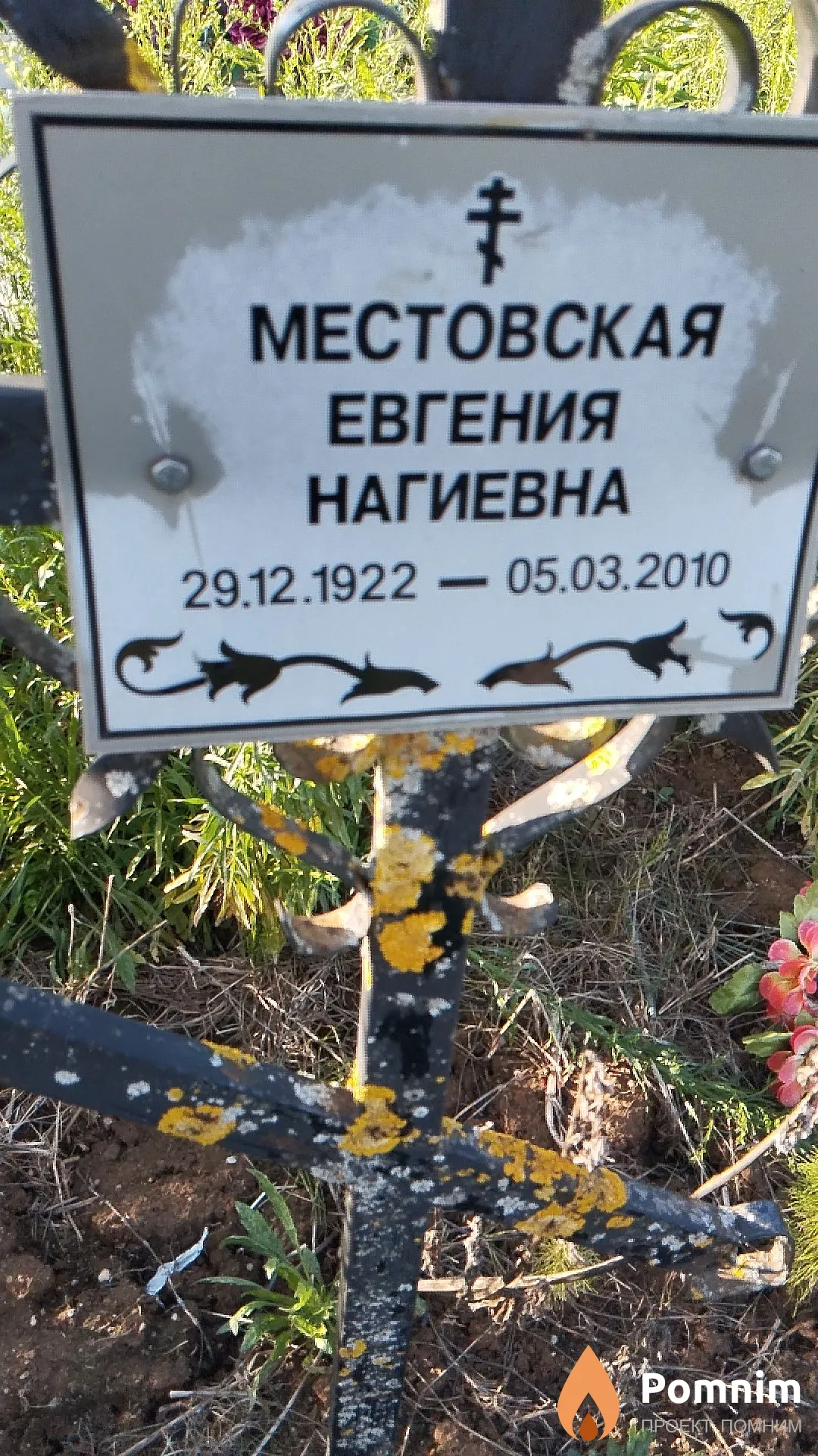Местовская Евгения Нагиевна