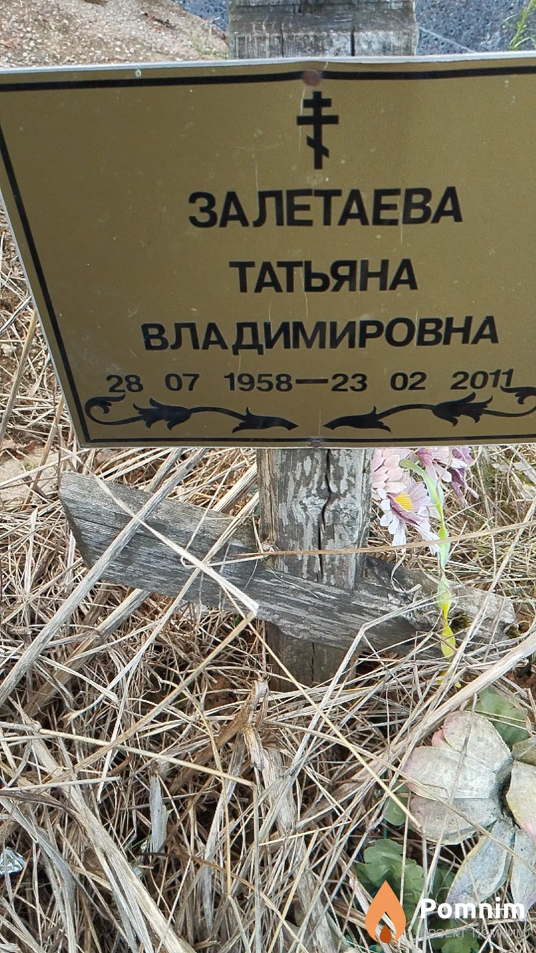 Залетаева Татьяна Владимировна