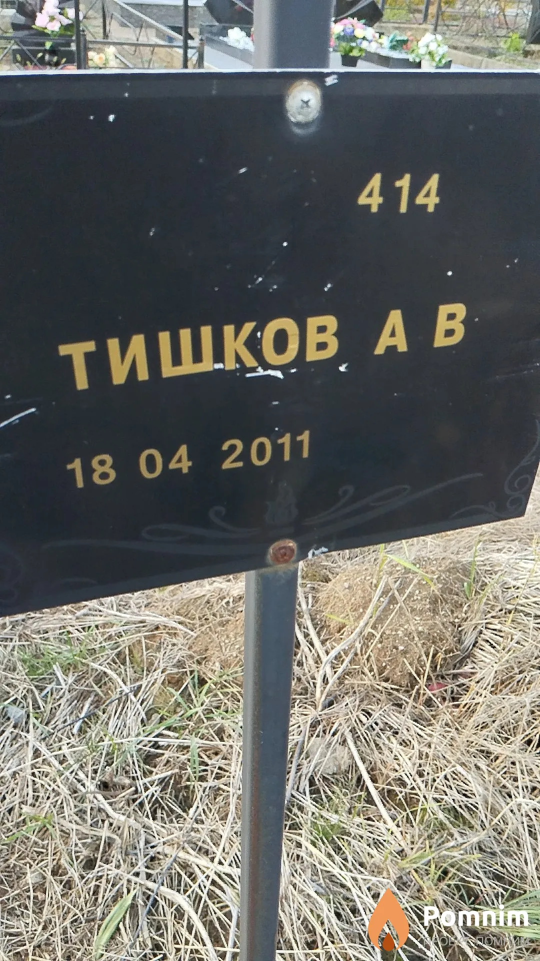 Тишков А В