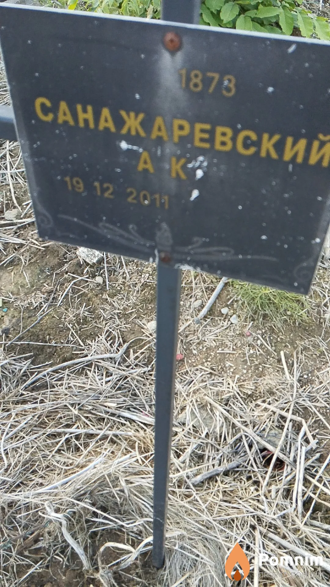 Санажаревский А К