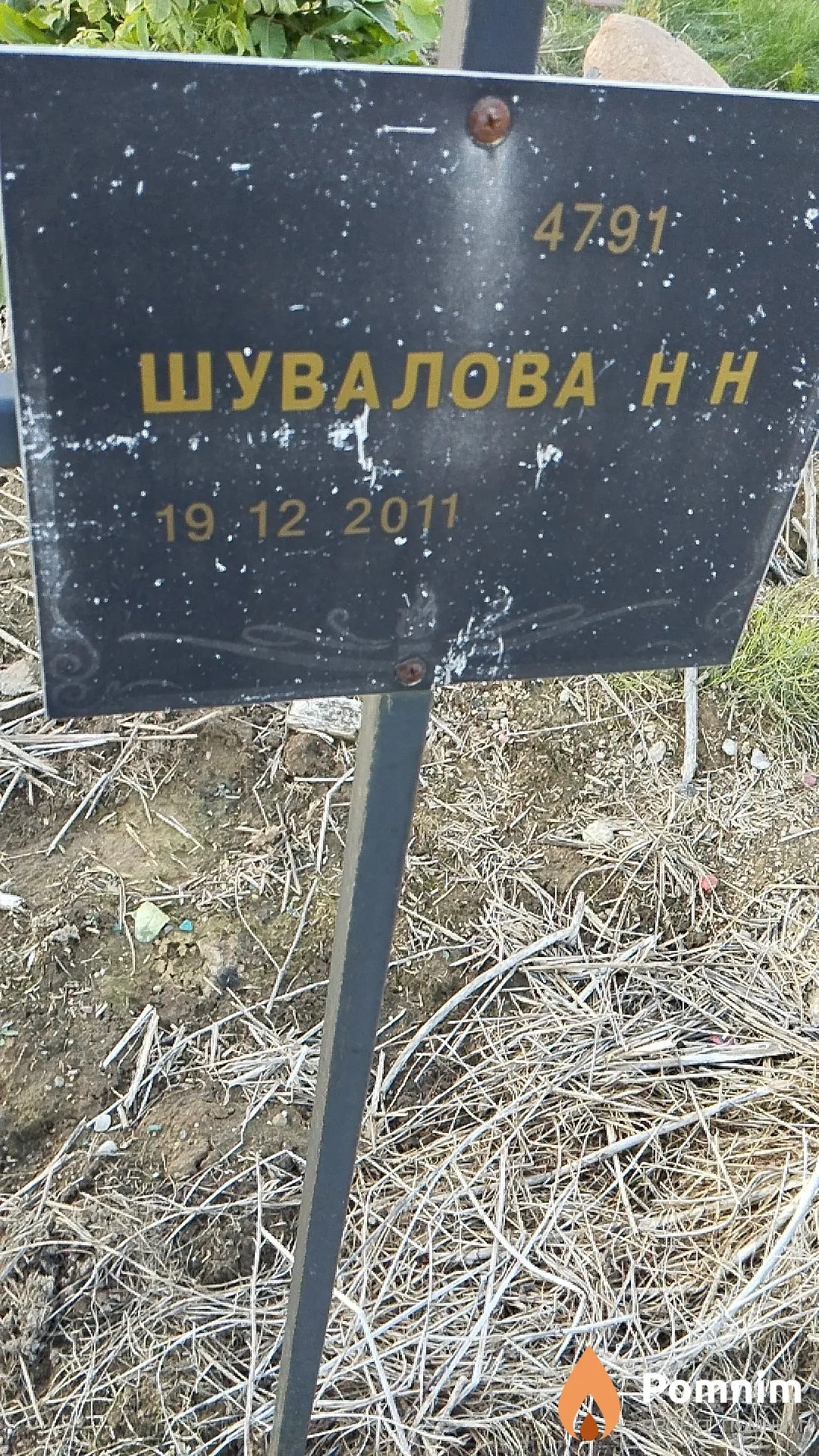 Шувалова Н Н