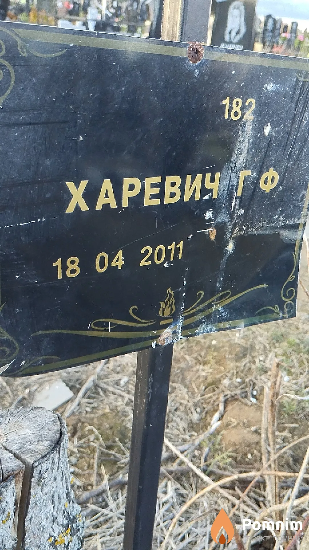 Харевич Г Ф