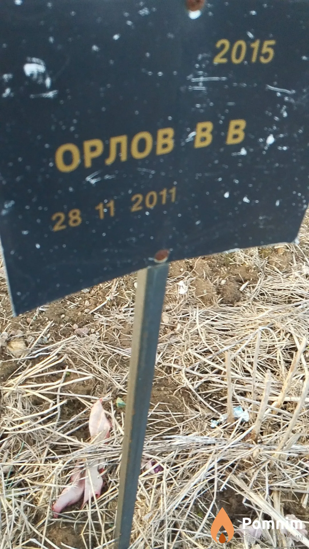 Орлов В В