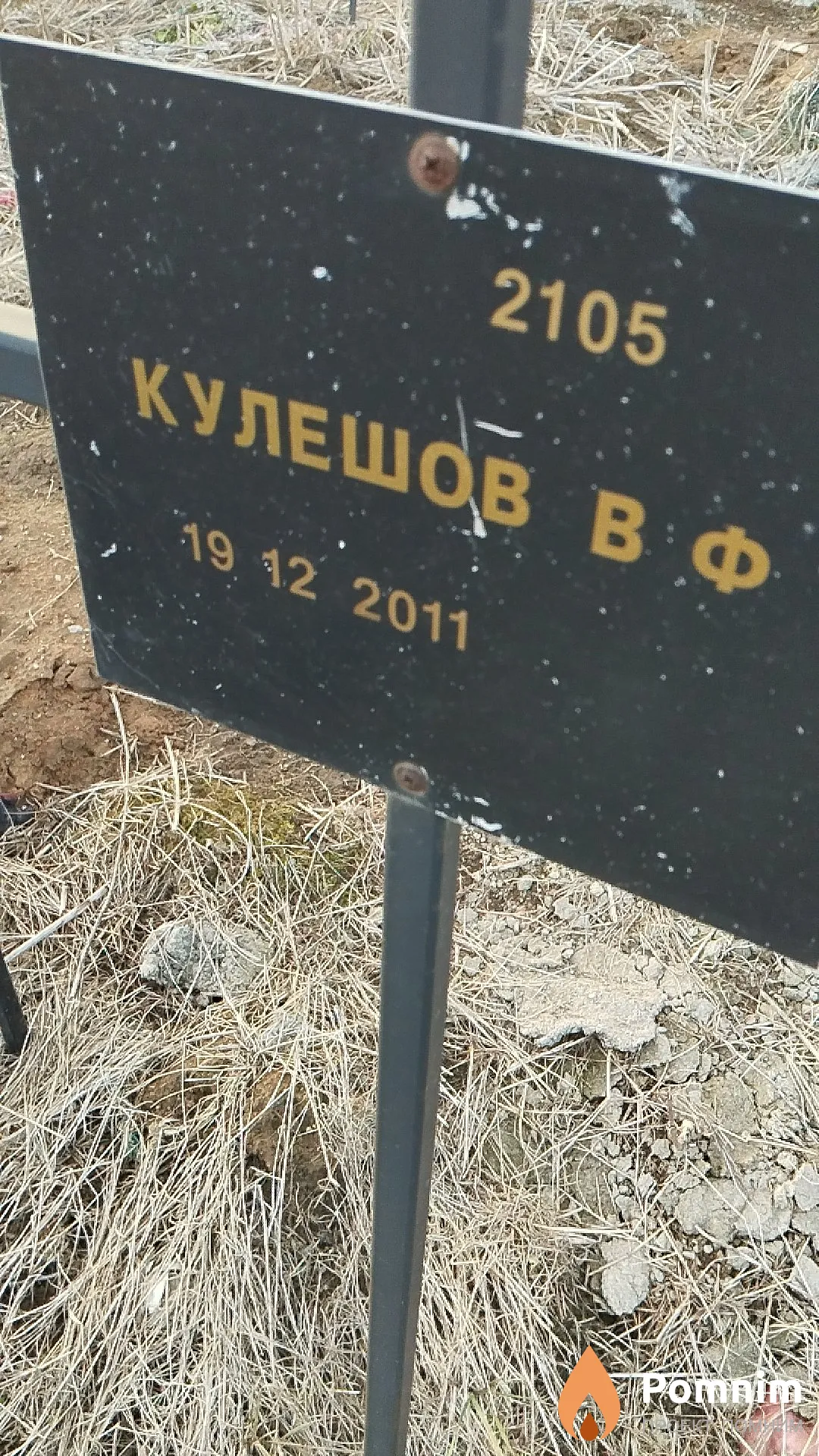 Кулешов В Ф