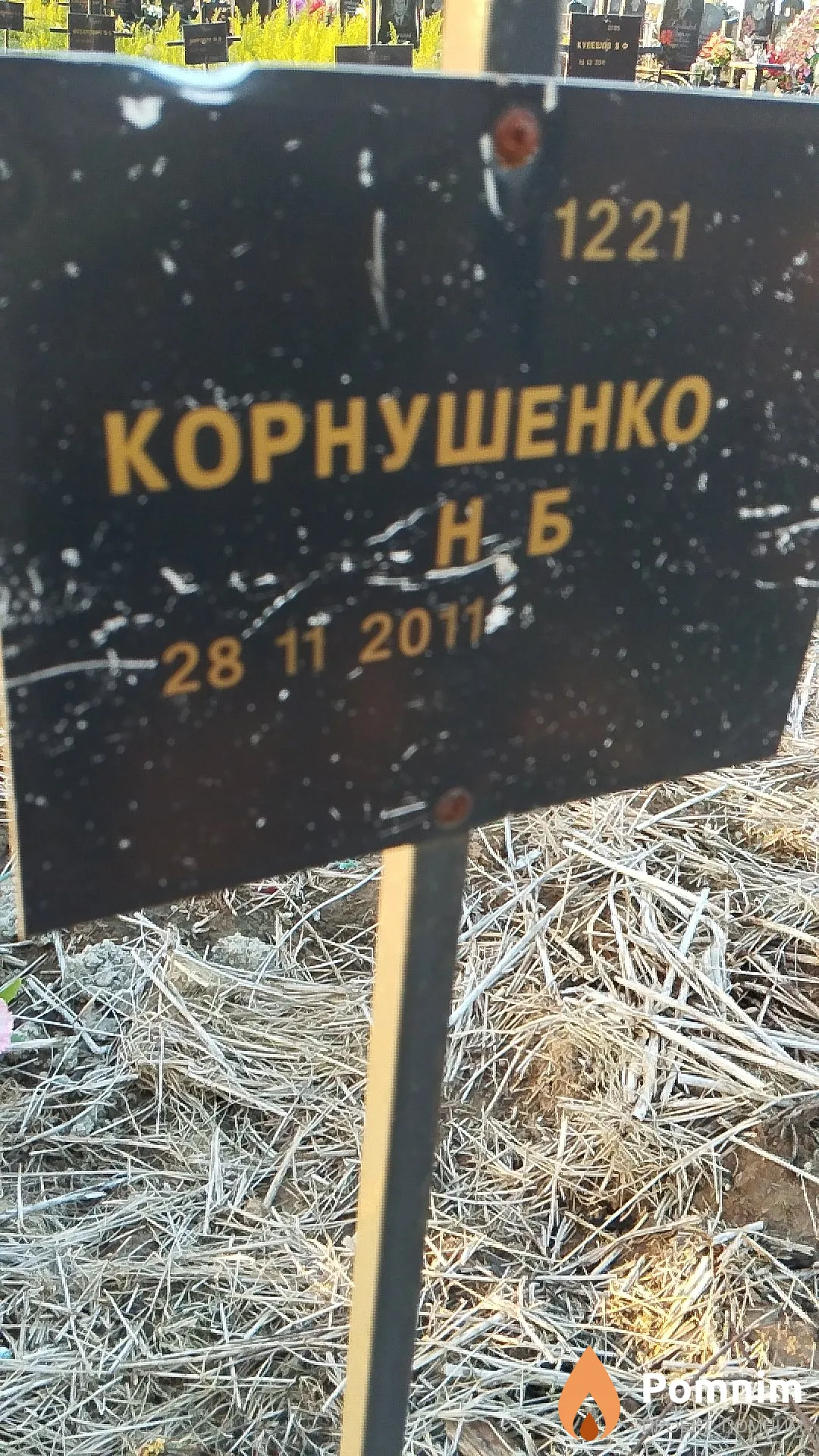 Корнушенко Н Б