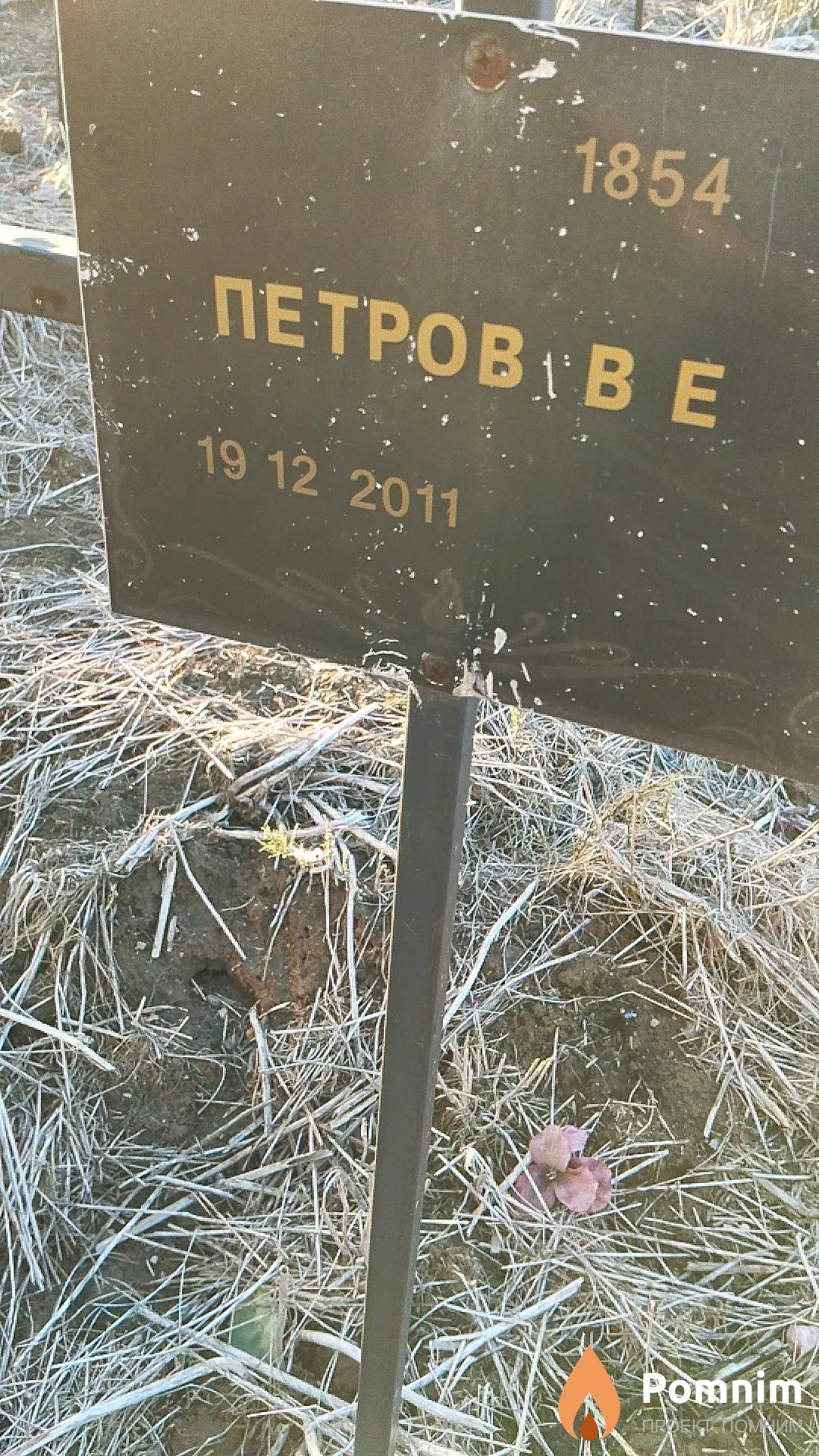 Петров В Е
