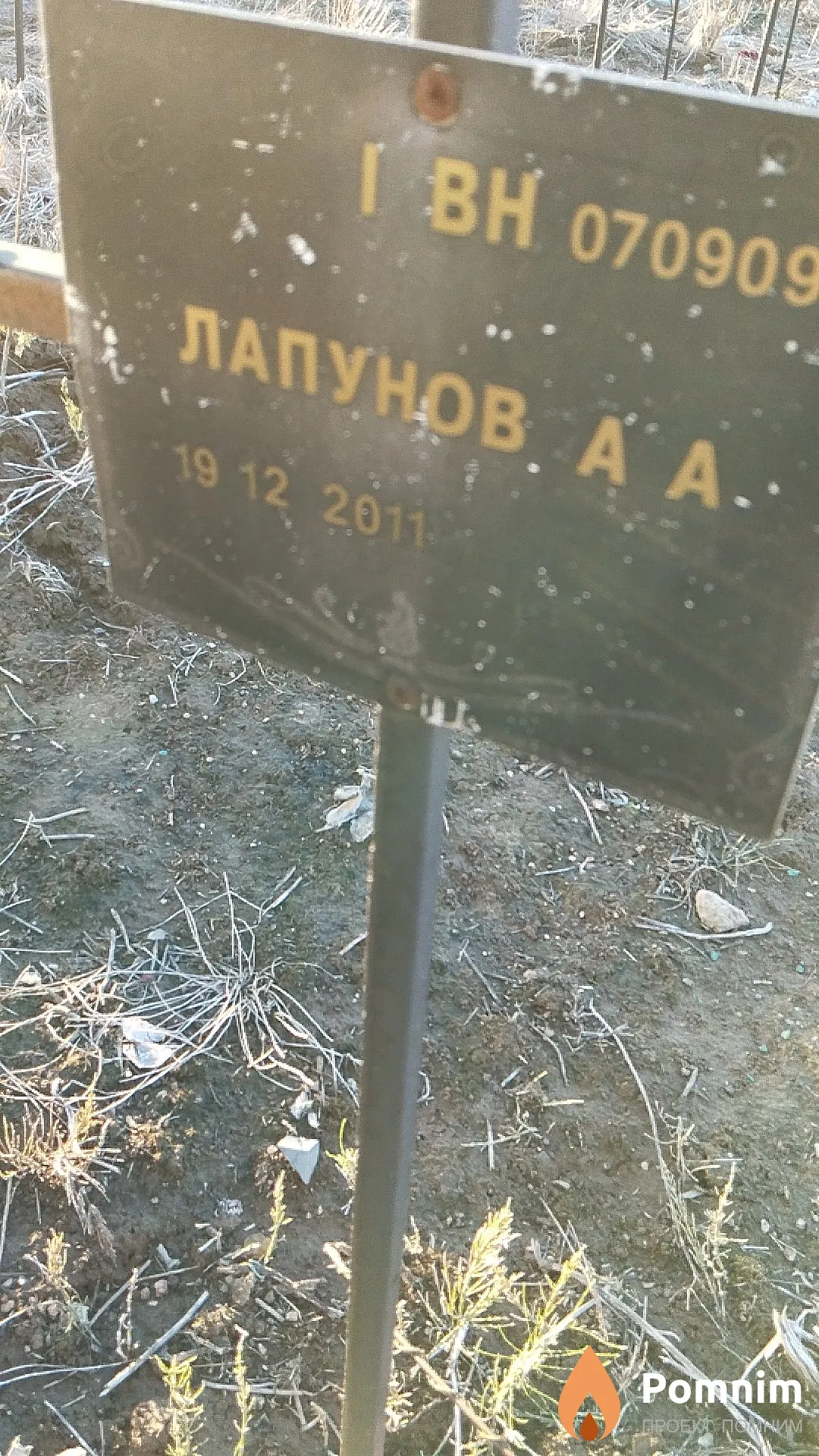 Лапунов А А
