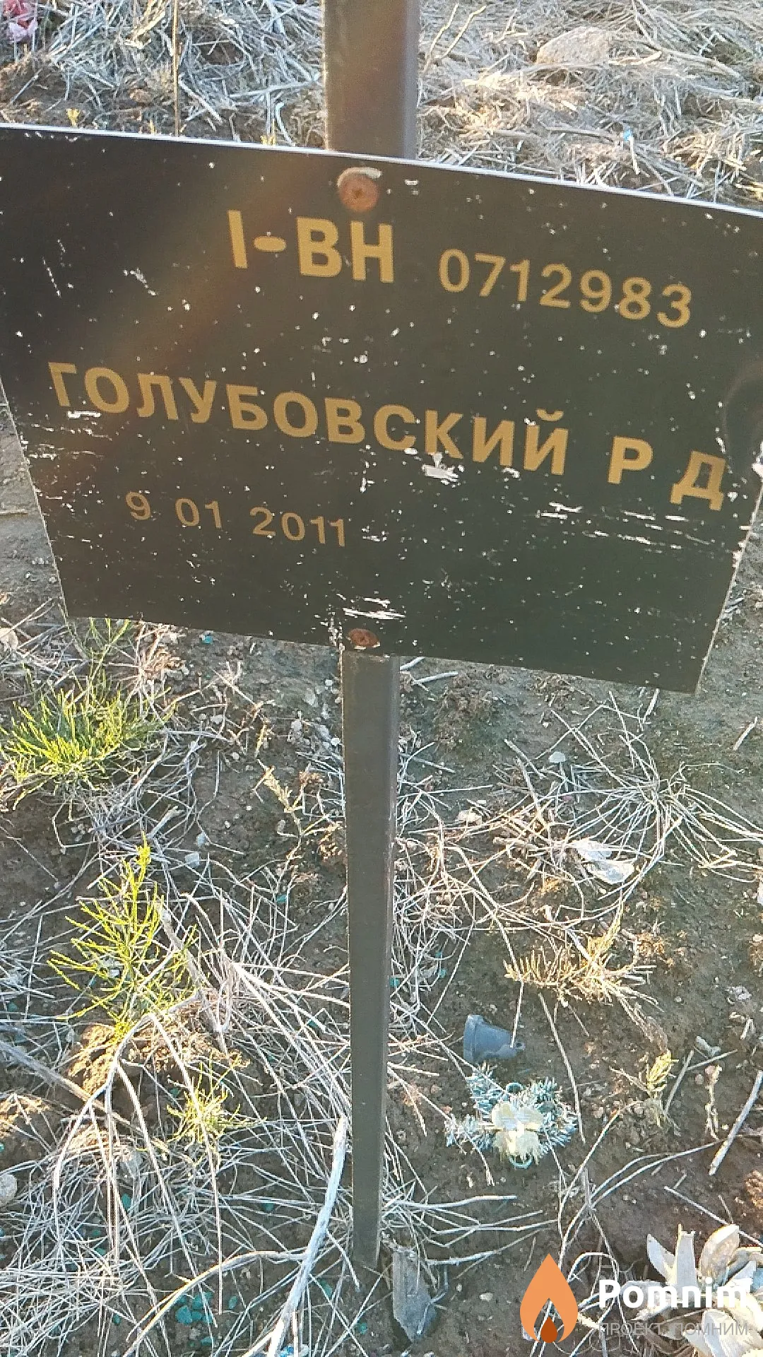 Голубовский Р Д