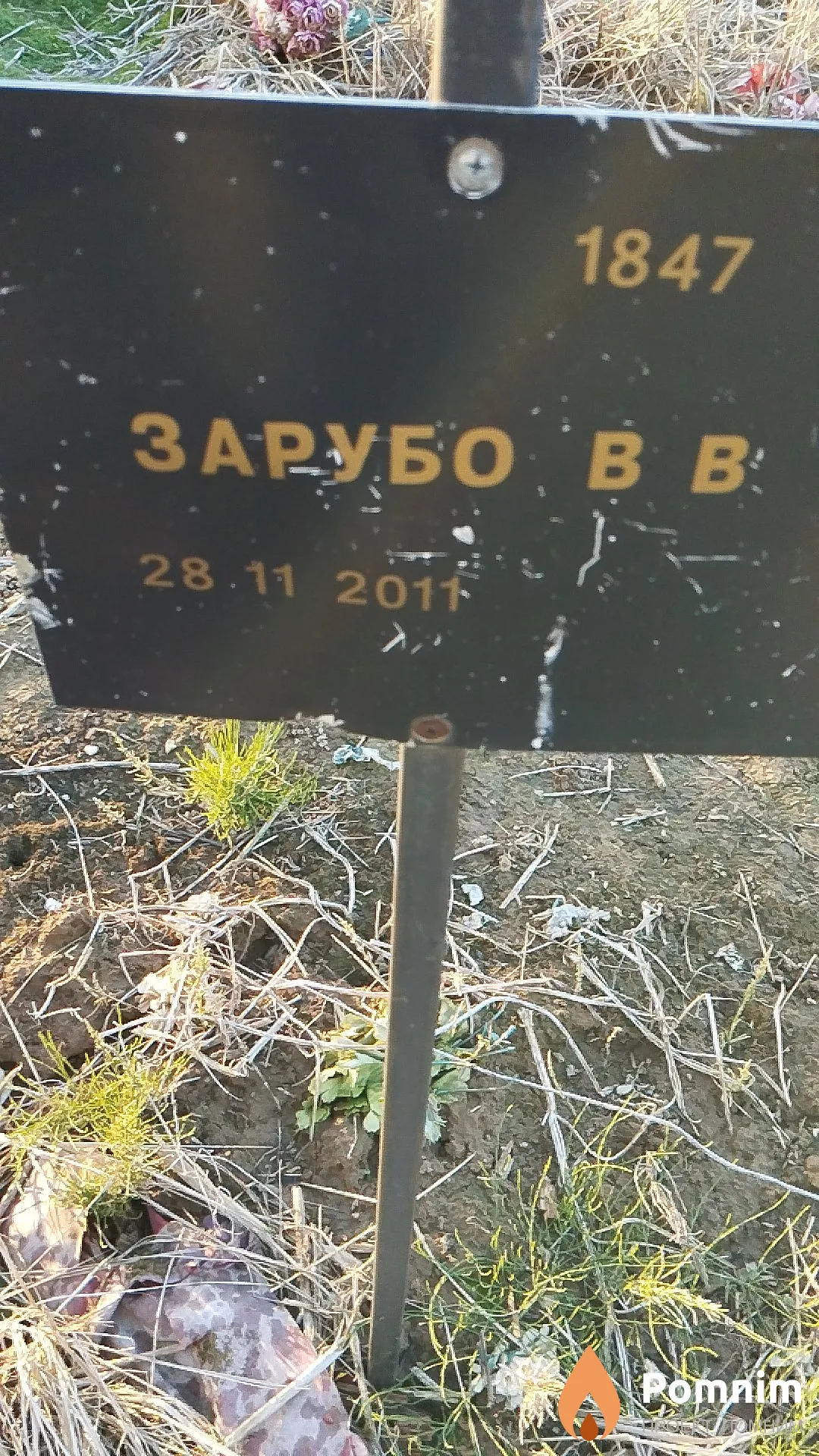 Зарубо В В