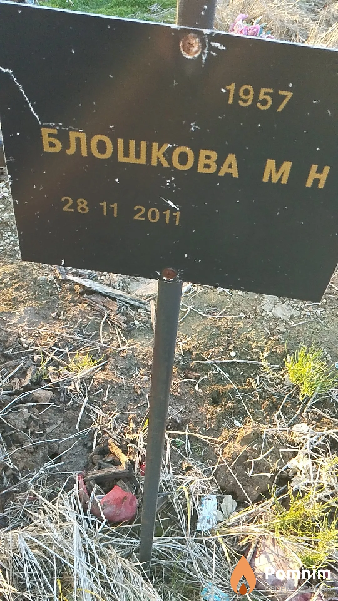 Блошкова М Н