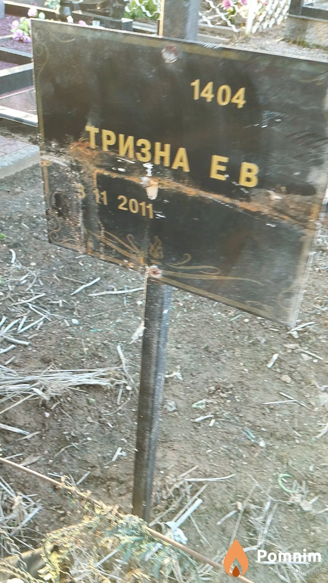 Тризна Е В