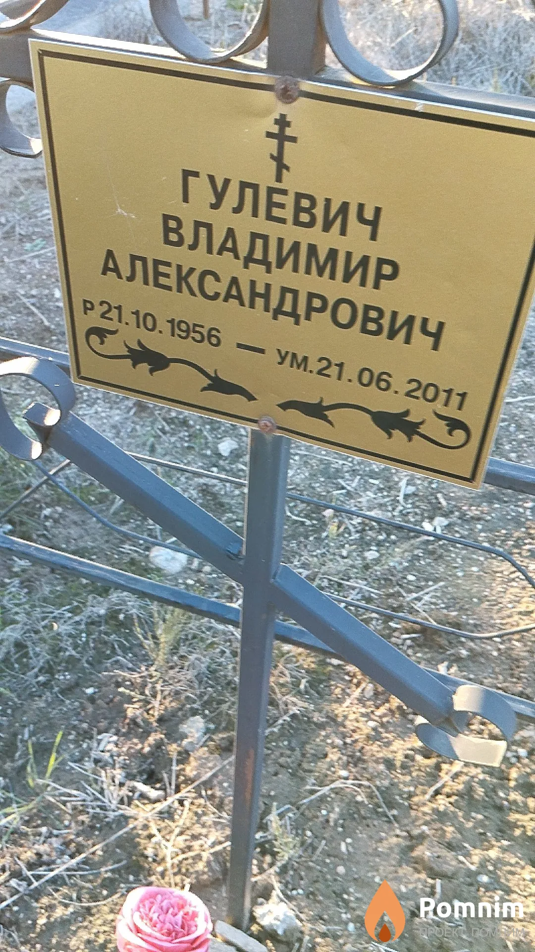 Гулевич Владимир Александрович