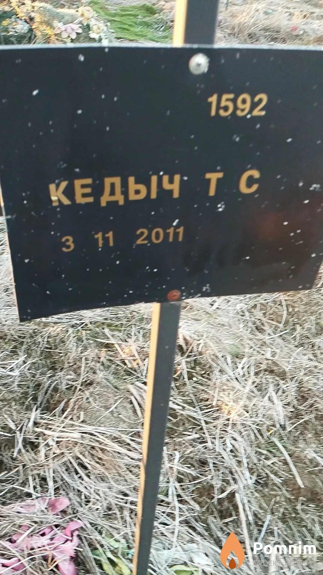 Кедыч Т С