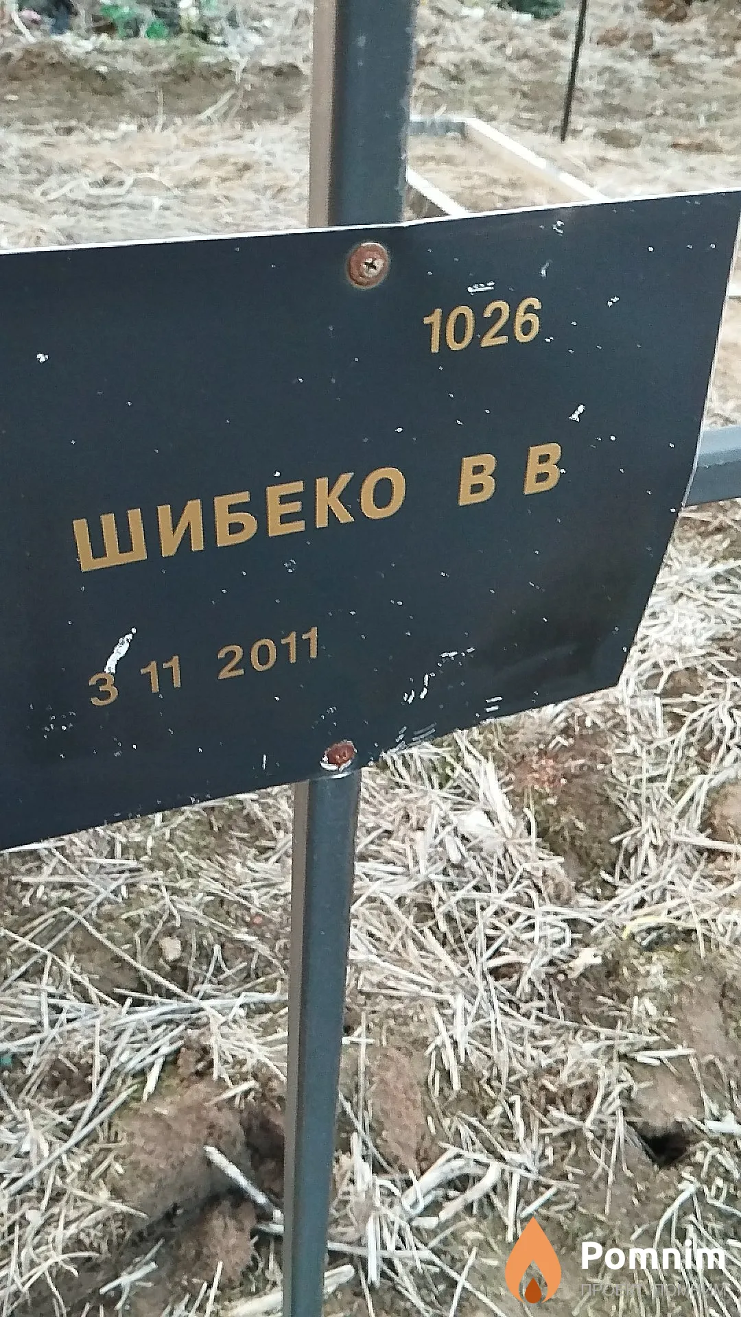 Шибеко В В