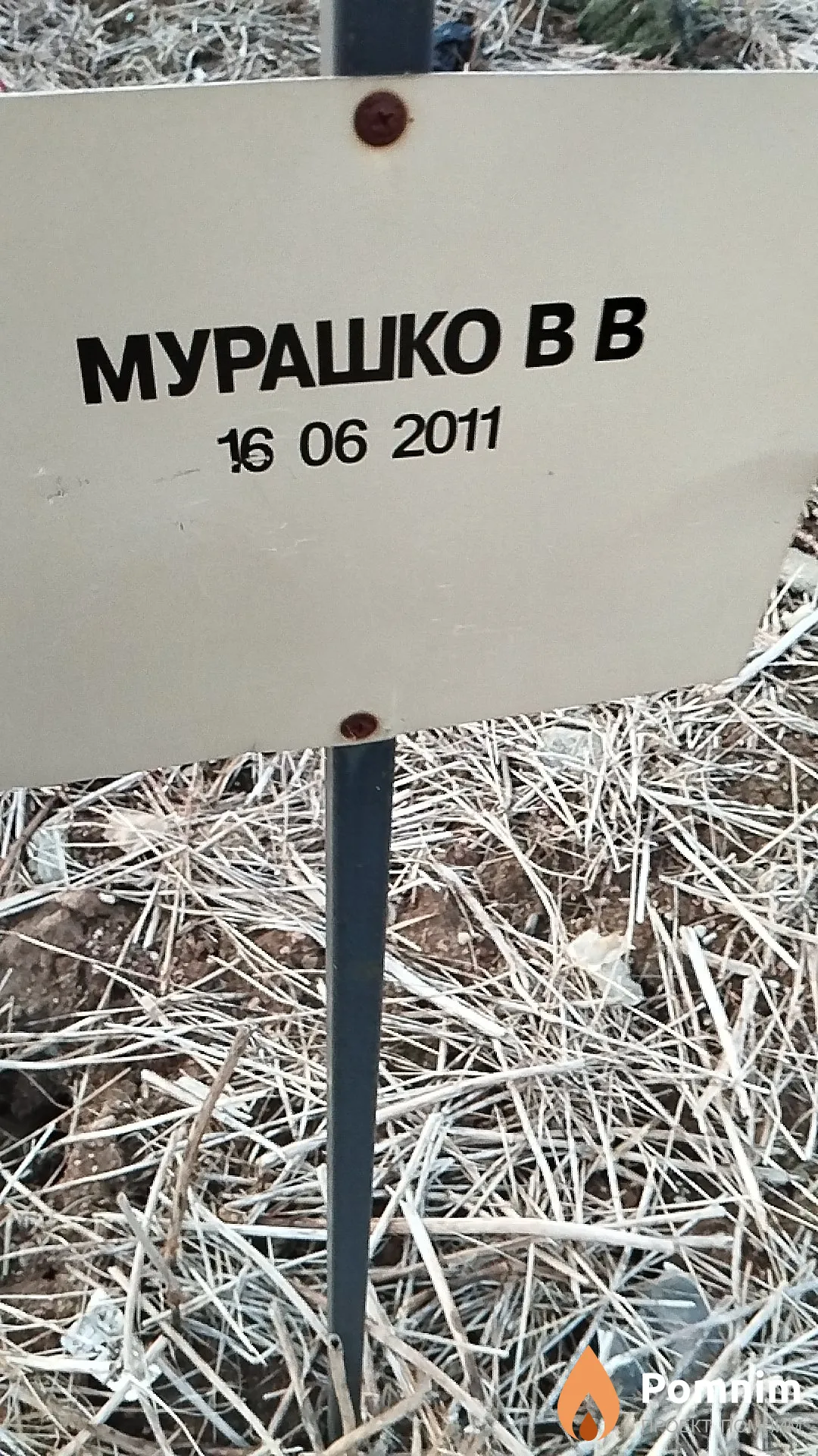 Мурашко В В