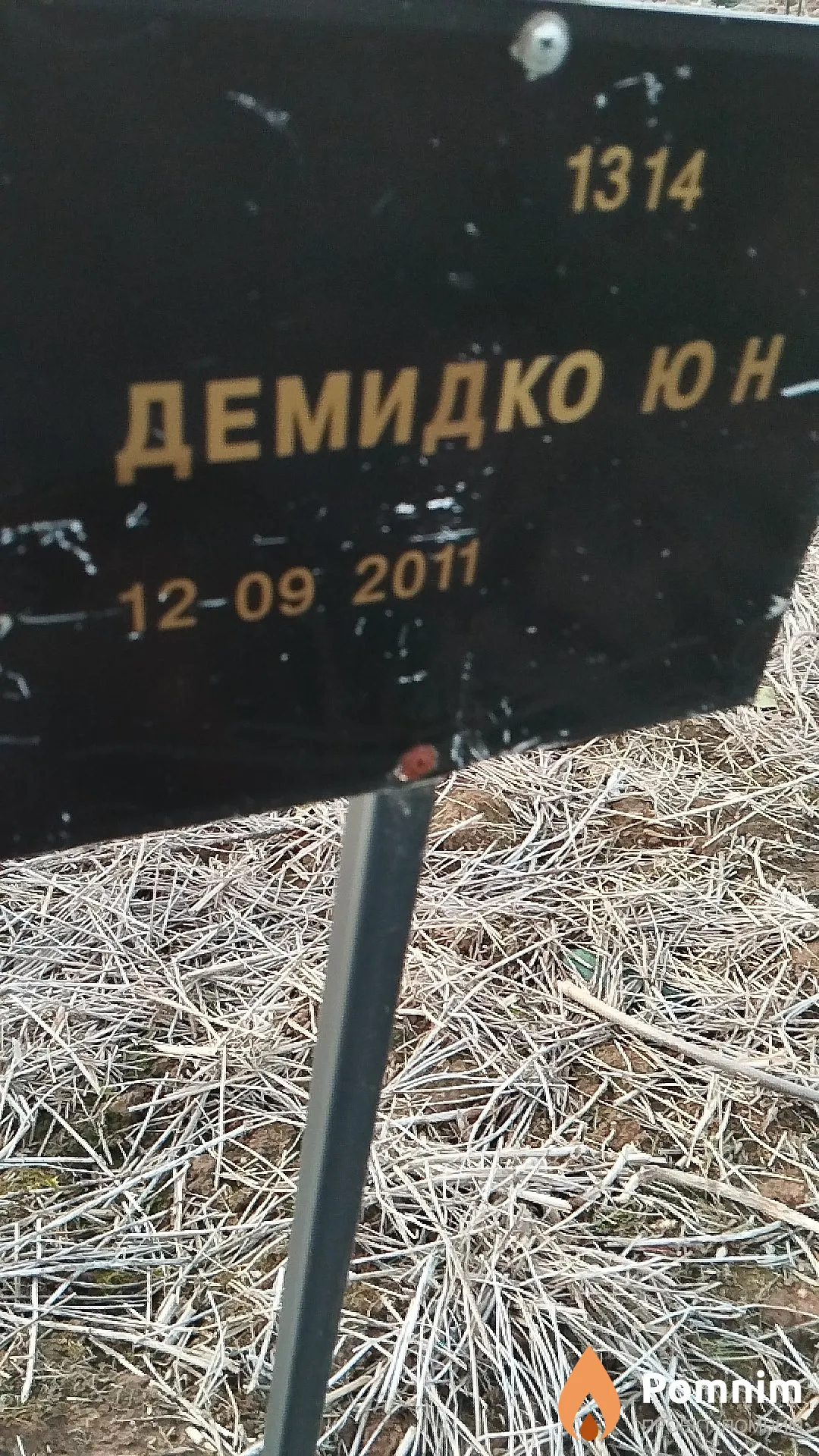 Демидко Ю Н