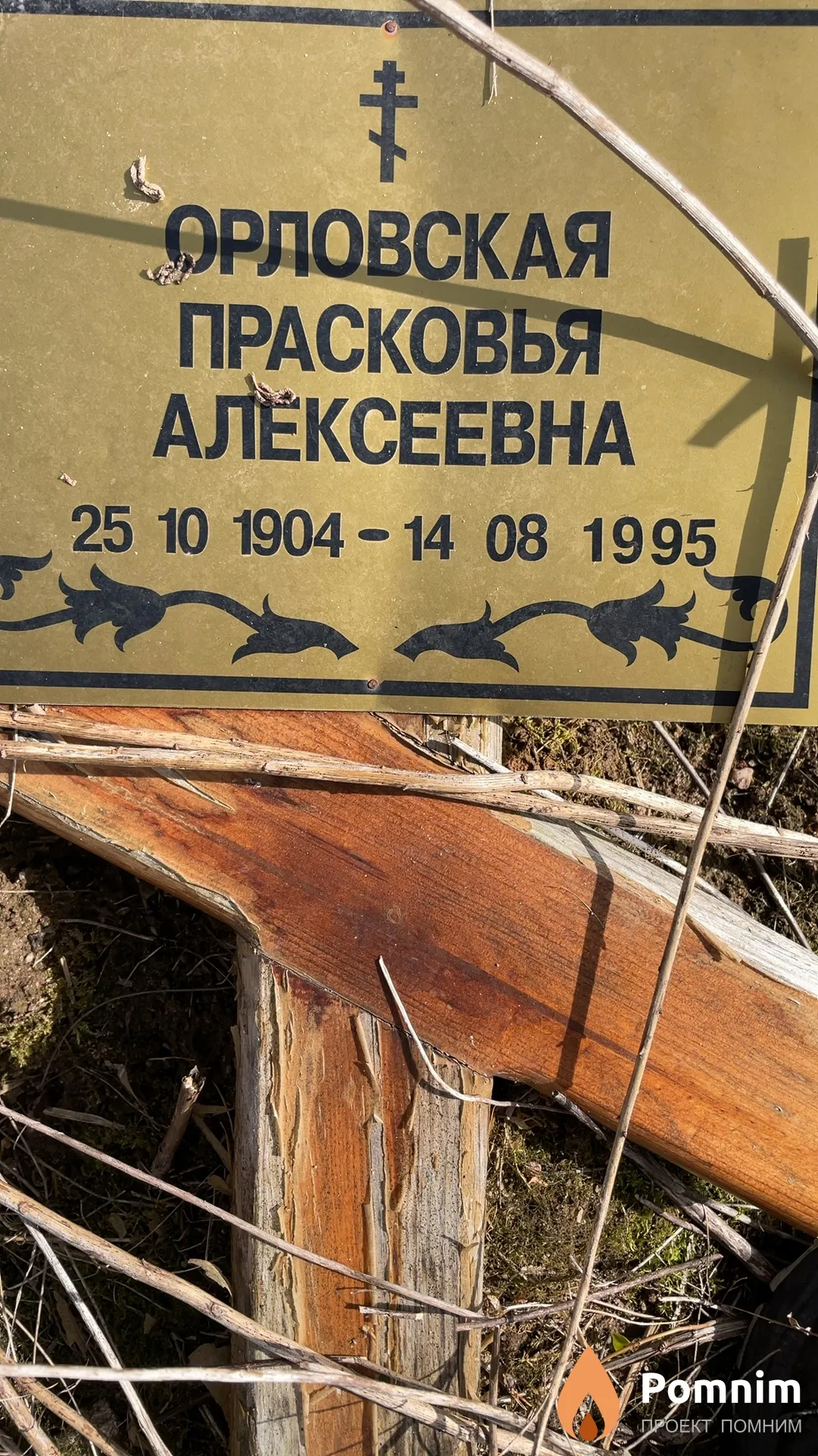 Орловская Прасковья Алексеевна