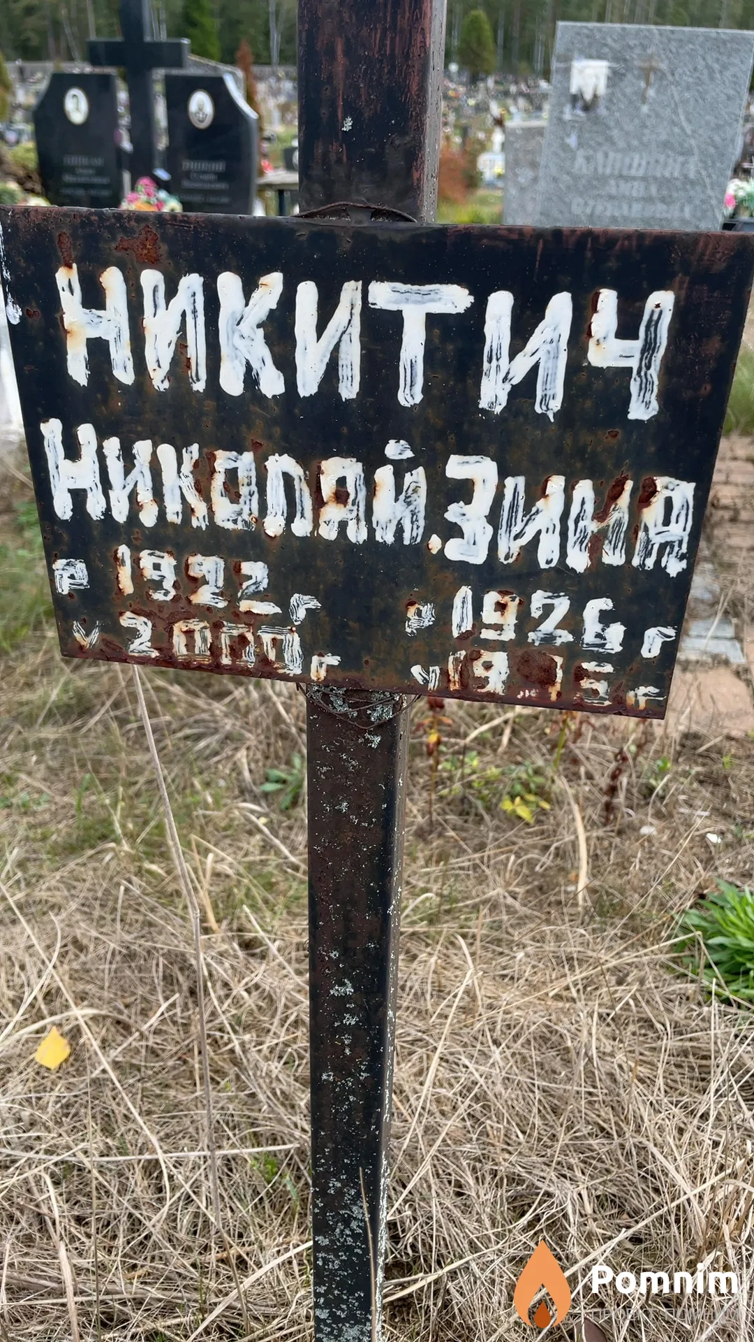 Никитич Зина
