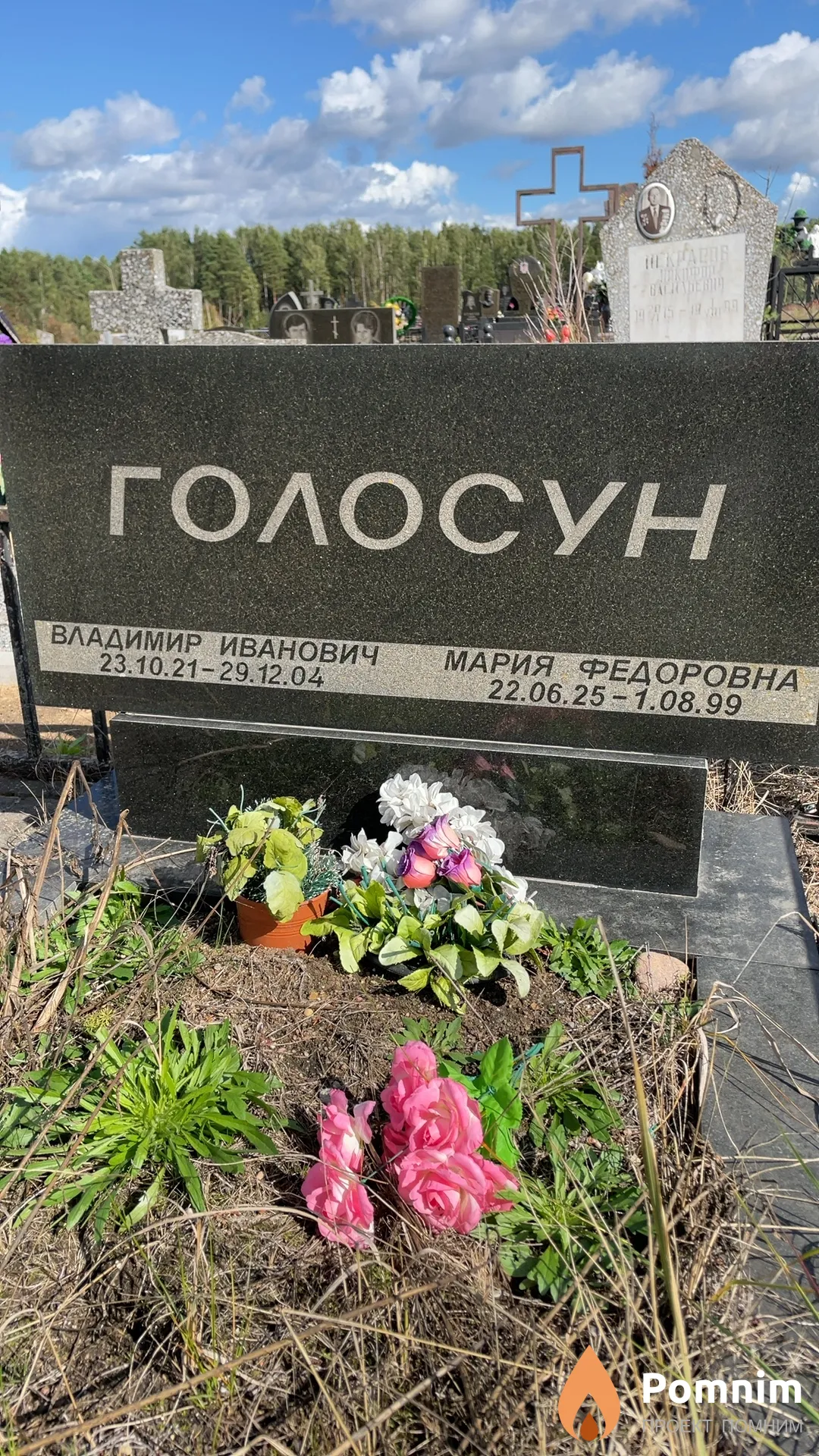 Голосун Владимир Иванович