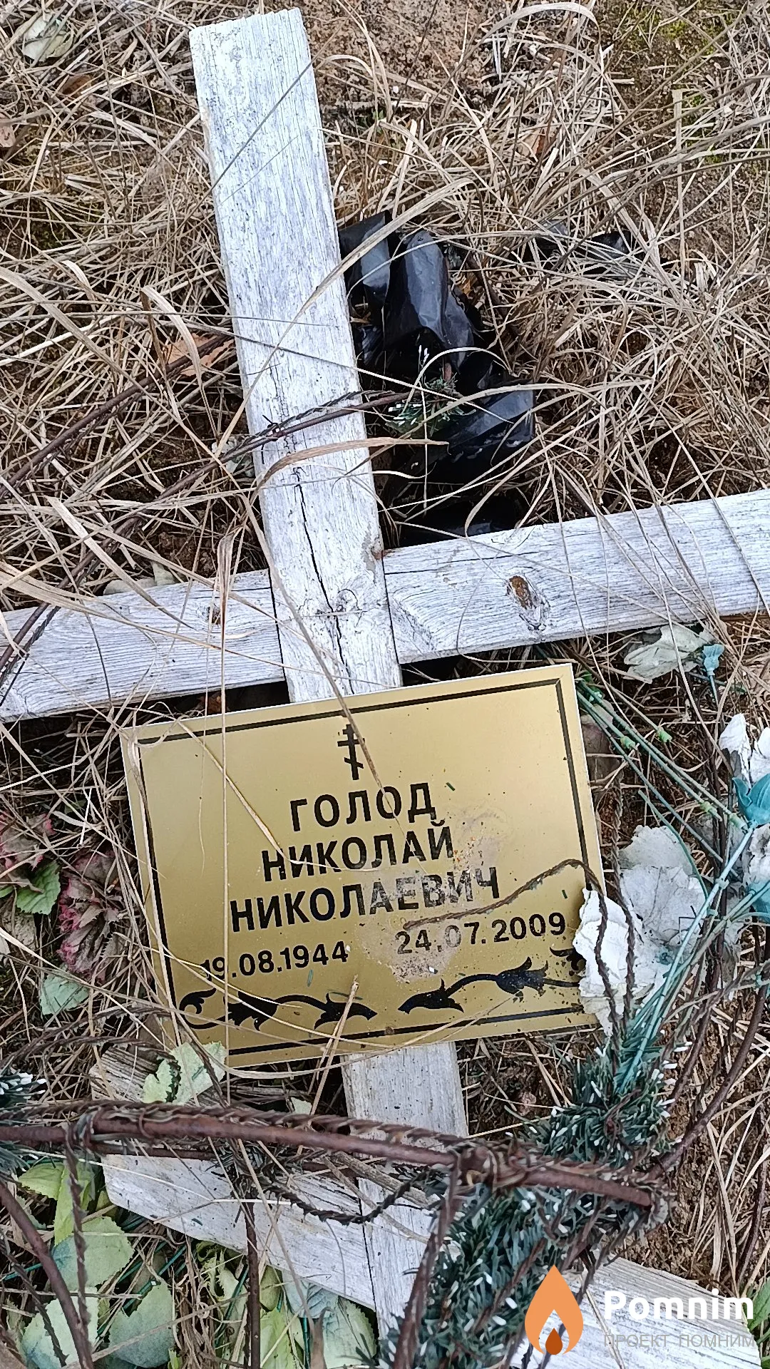 Голод Николай Николаевич