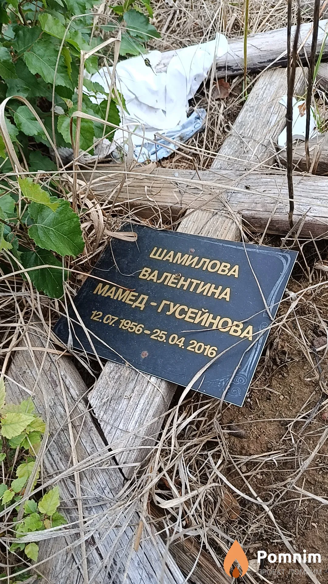 Шамилова Валентина Мамед - Гусейнова