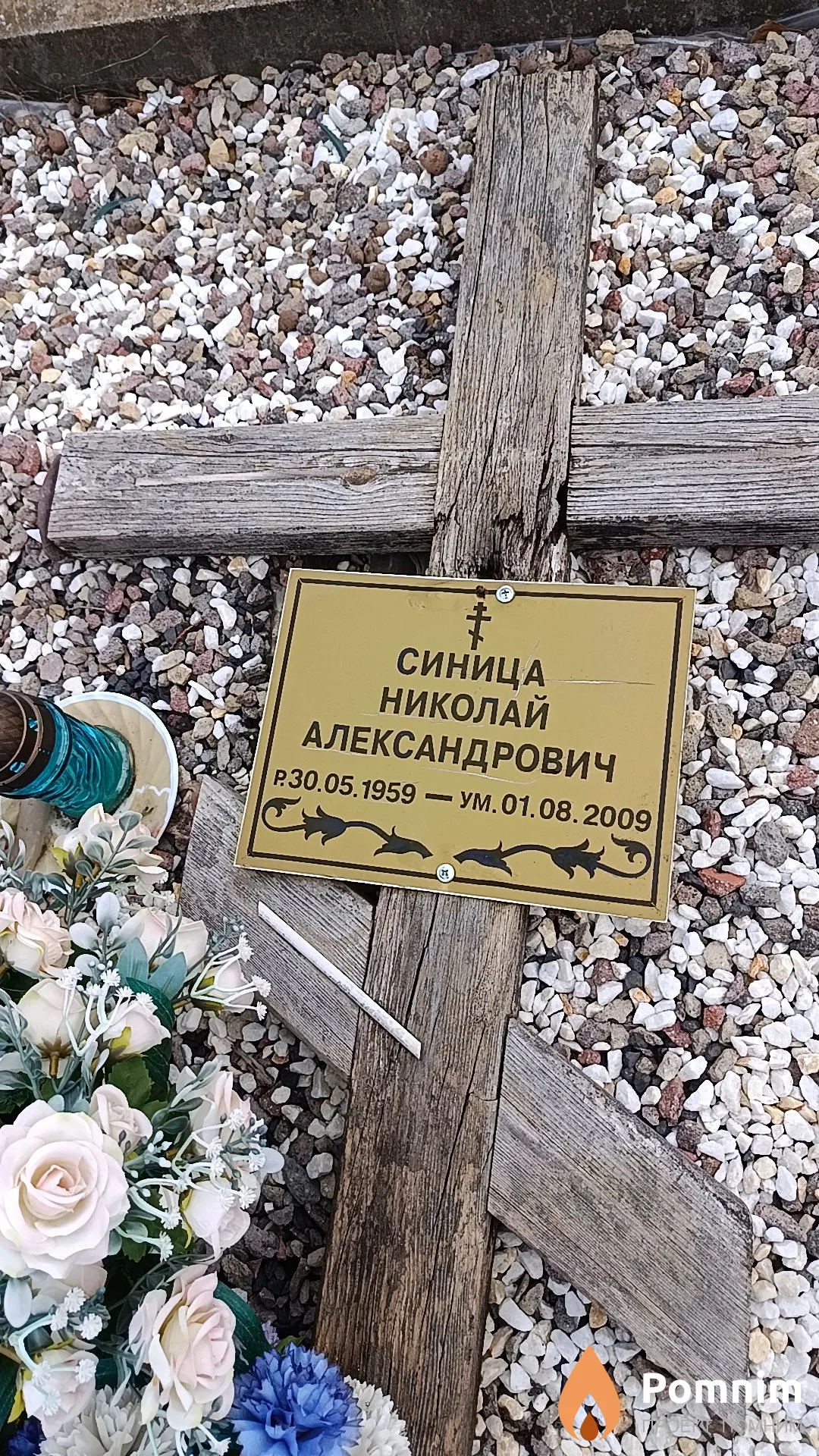 Синица Николай Александрович