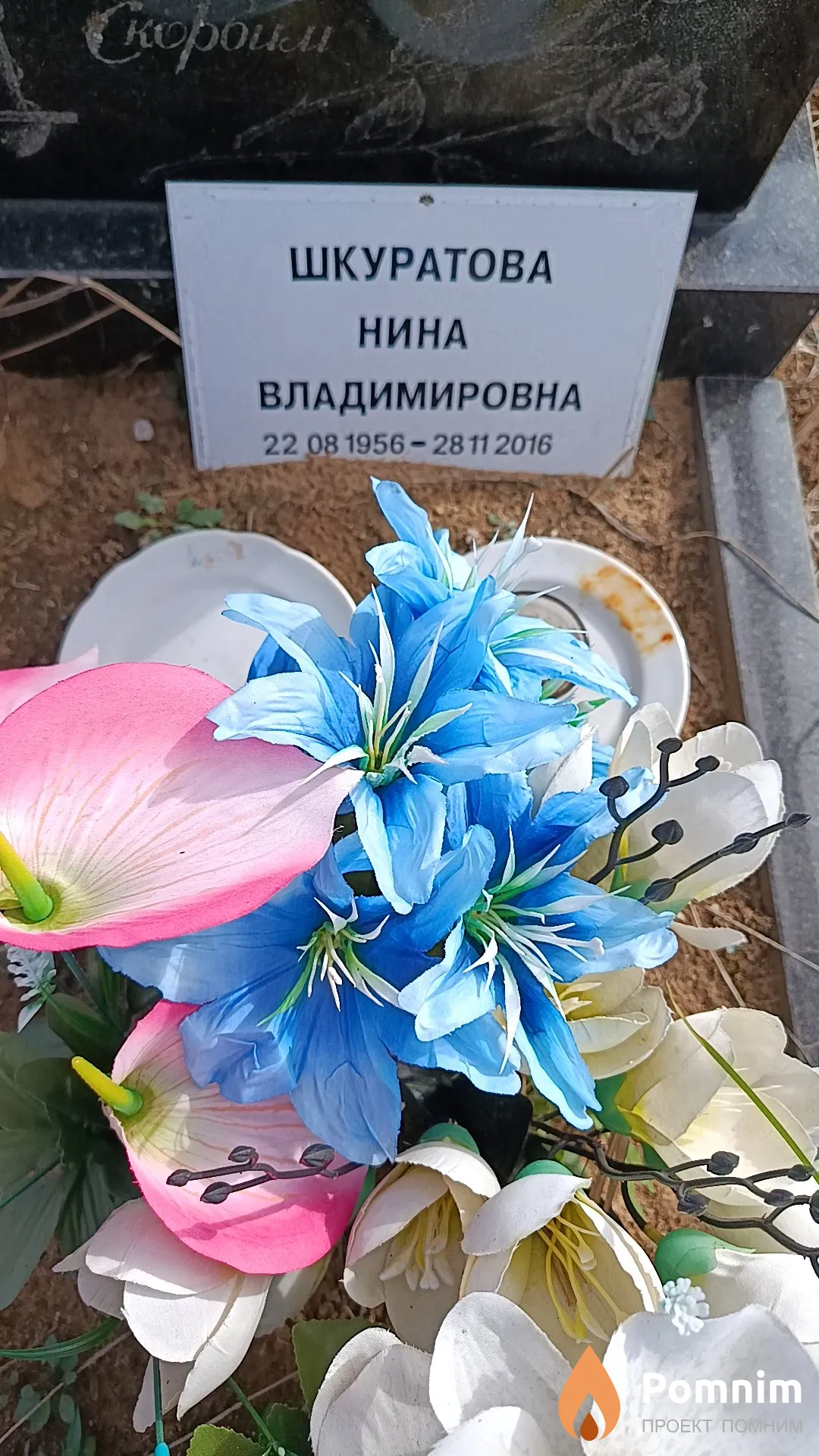 Шкуратова Нина Владимировна