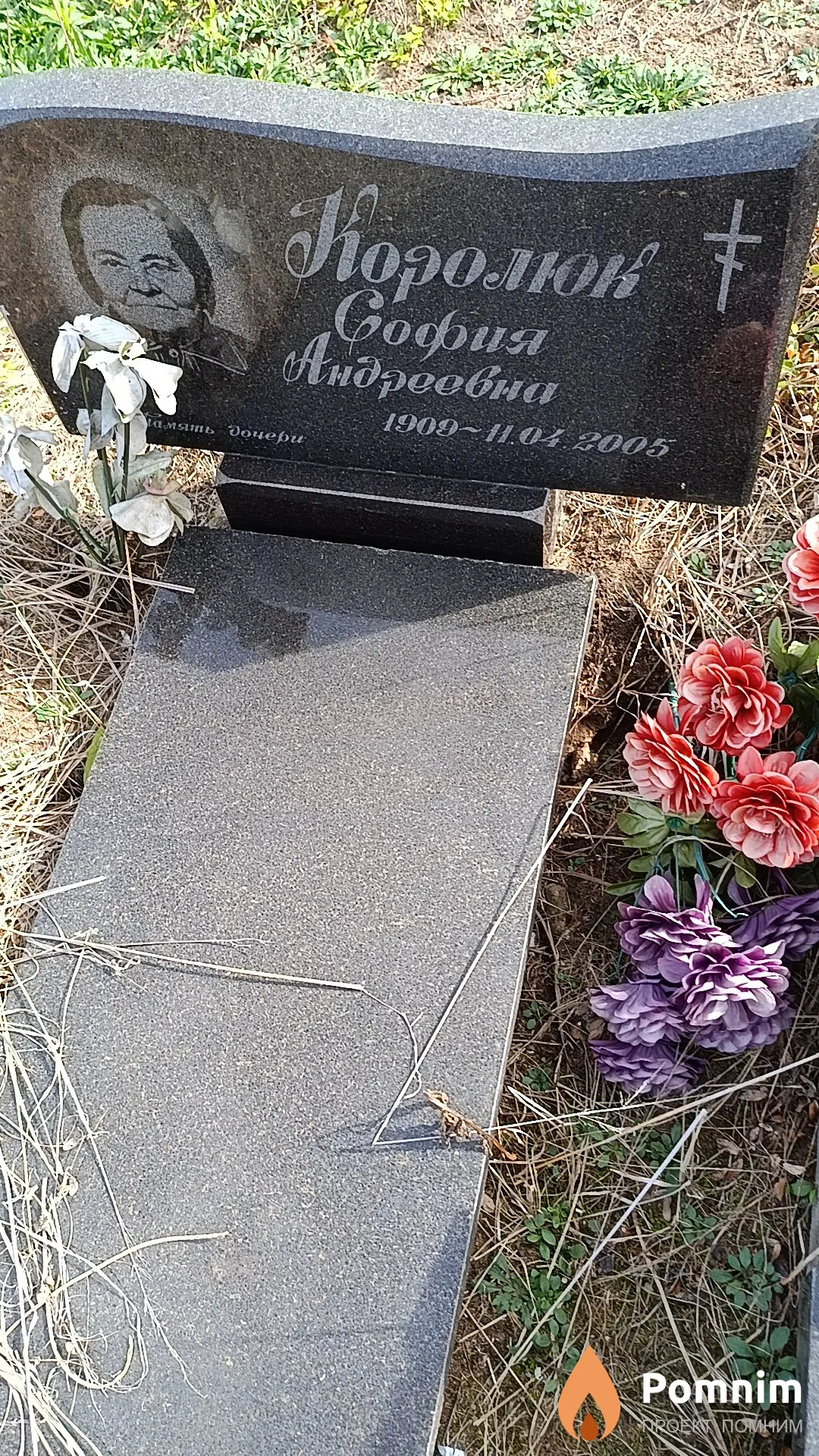 Королюк София Андреевна