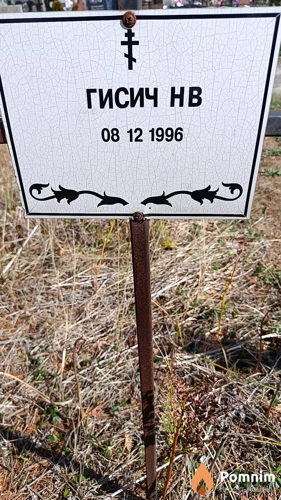 Гисич Н. В.