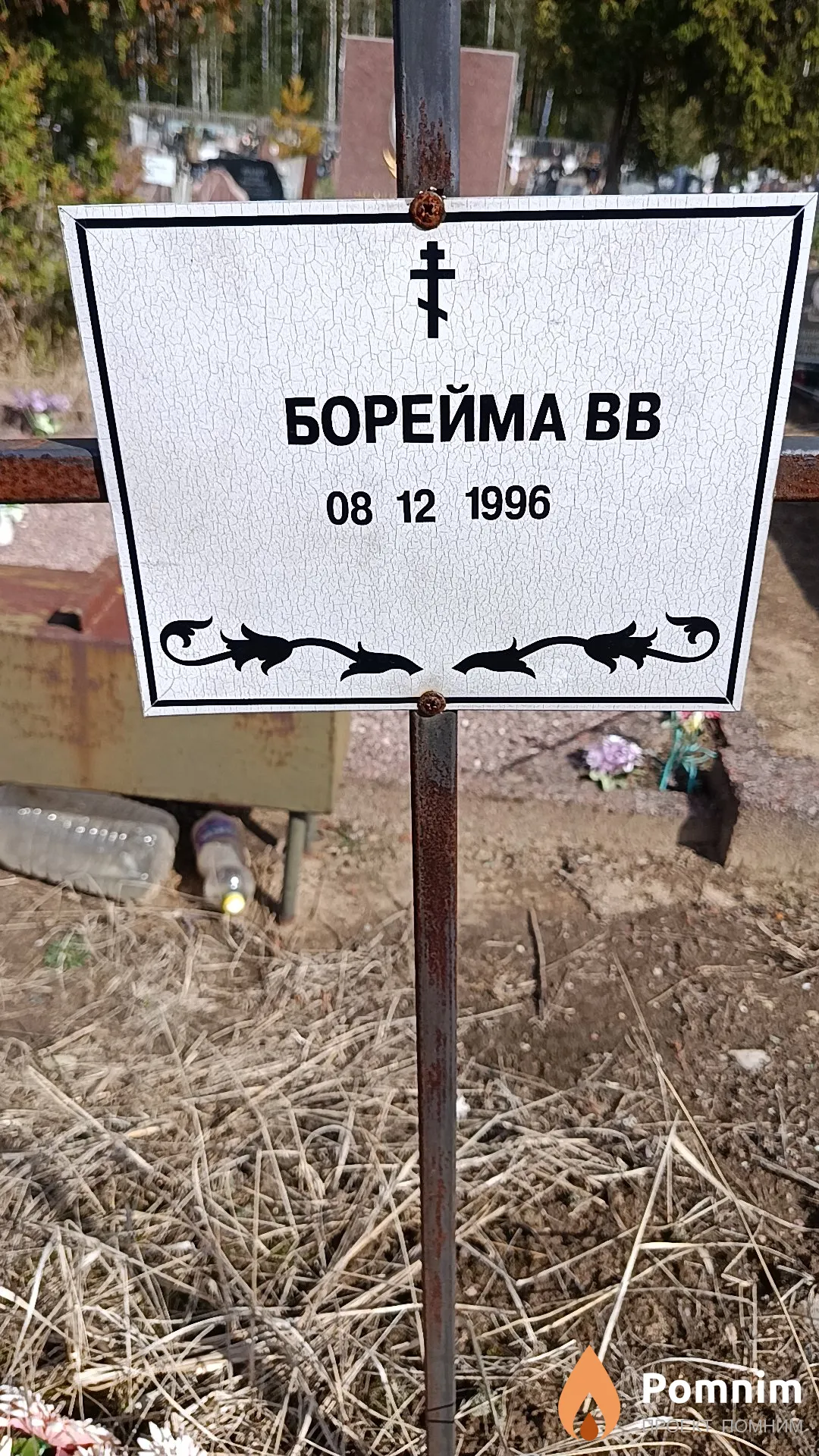 Борейма В. В.