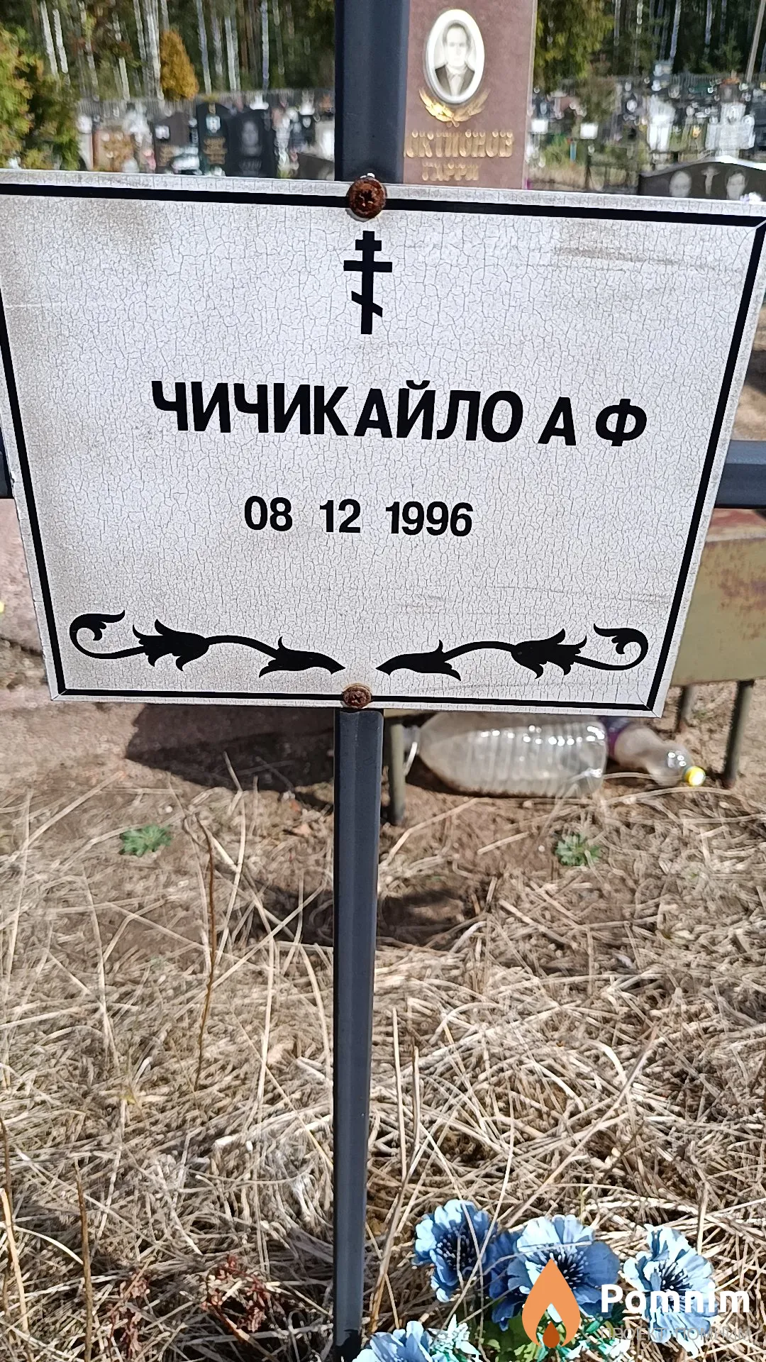 Чичикайло А. Ф.