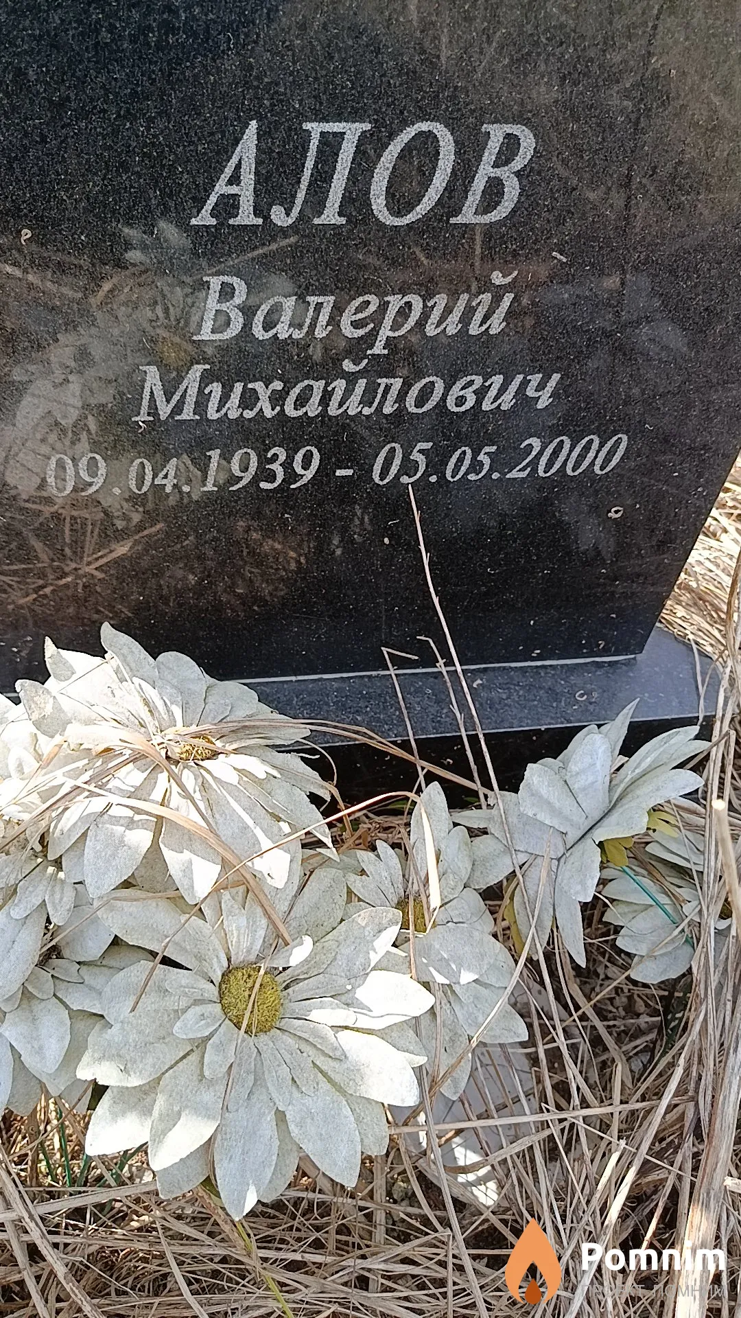 Алов Валерий Михайлович