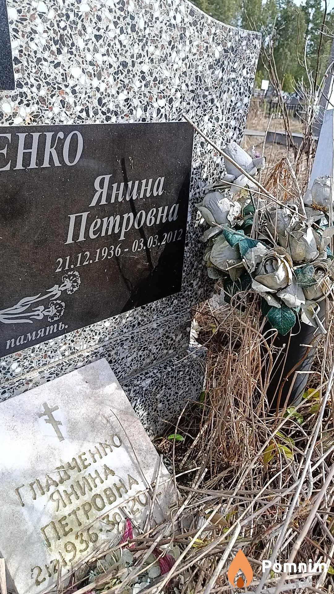 Гладченко Янина Петровна