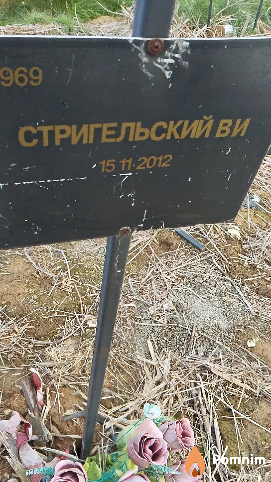 Стригельский В И