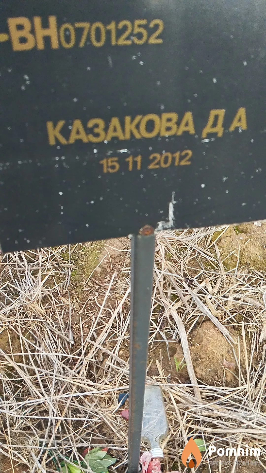 Казакова Д А