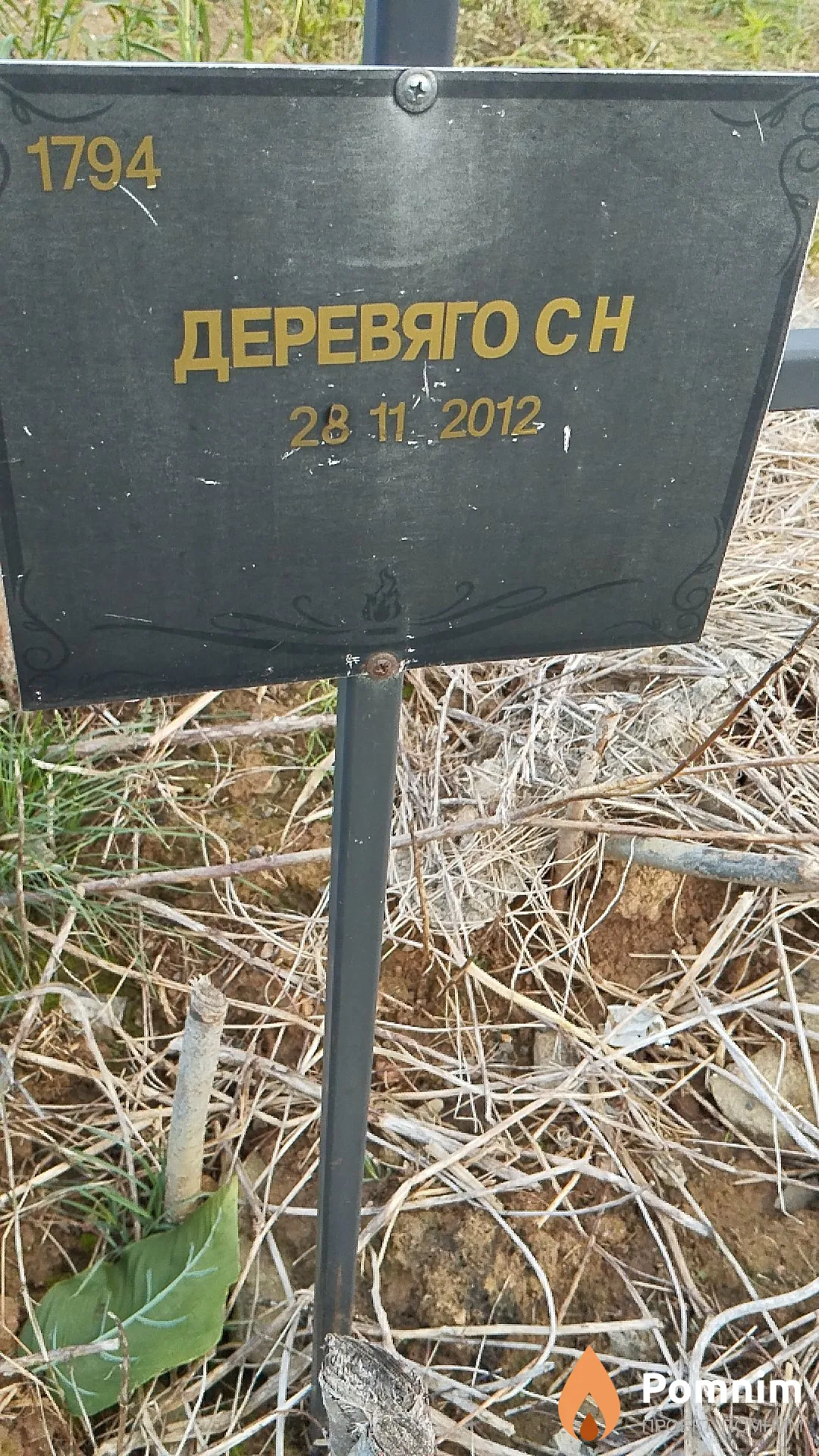Деревяго С Н