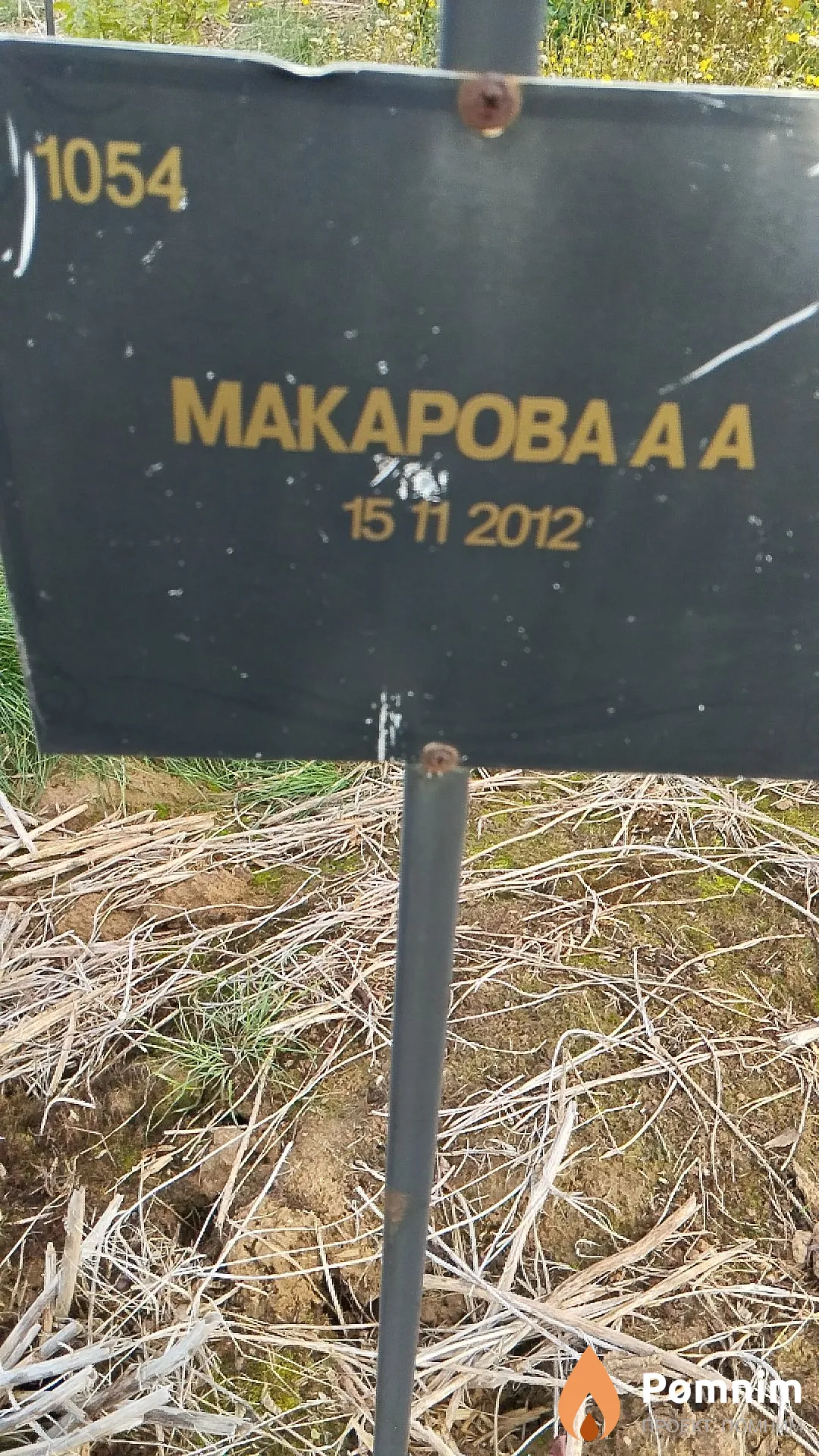 Макарова А А