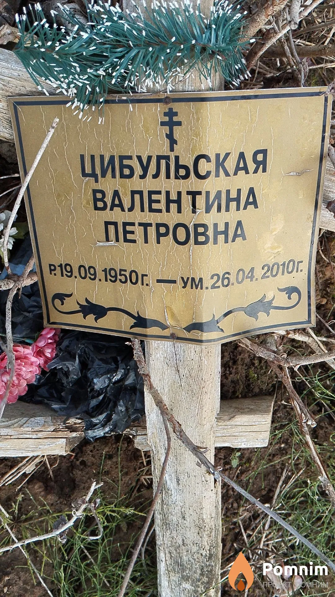 Цибульская Валентина Петровна