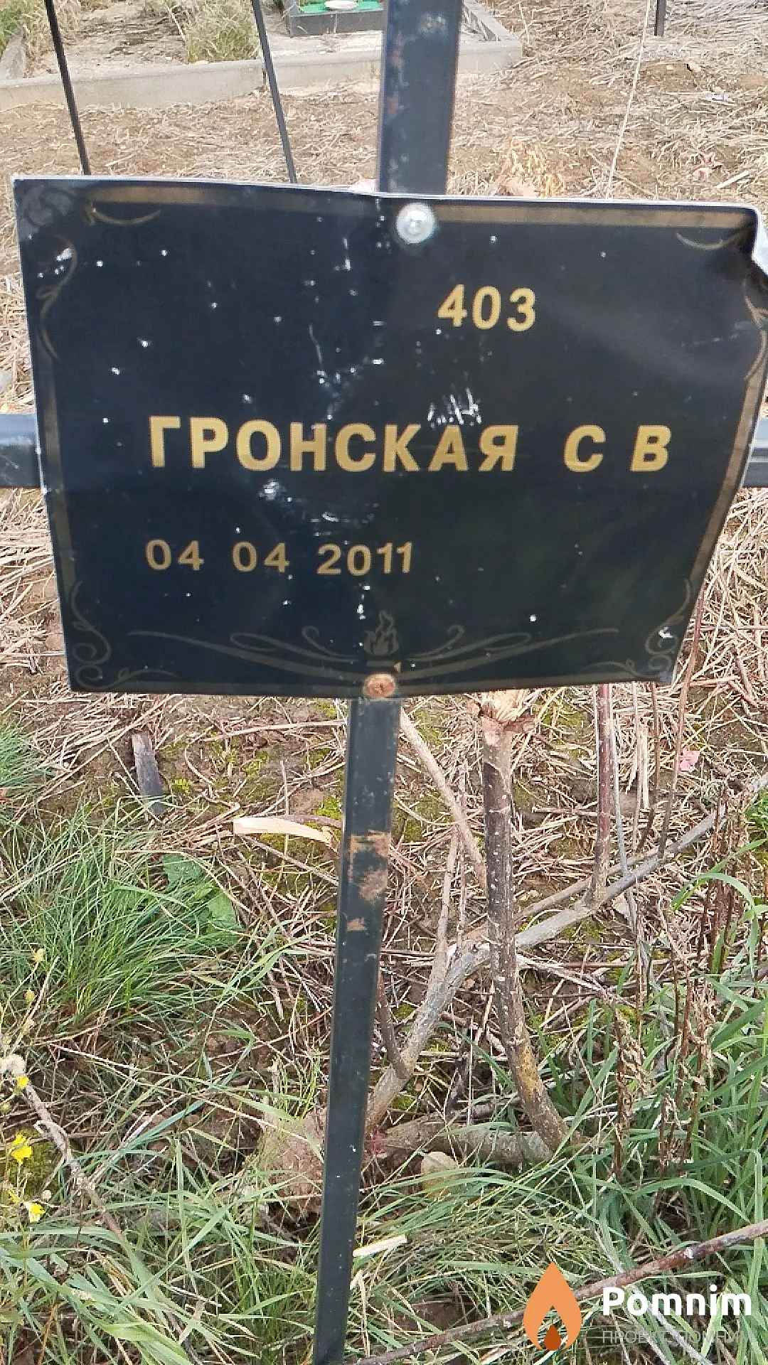 Гронская С В