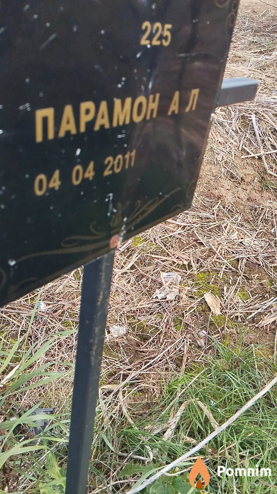 Парамон А Л