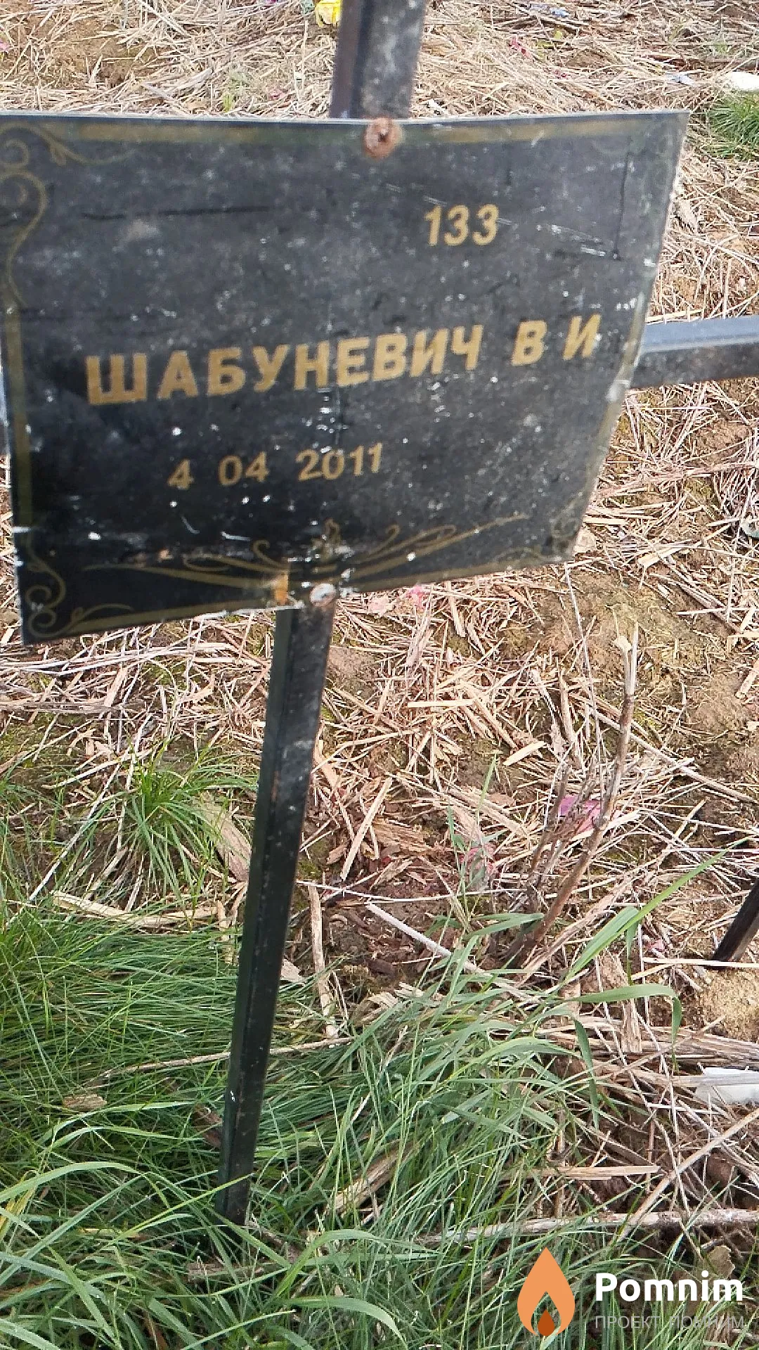 Шабуневич В И