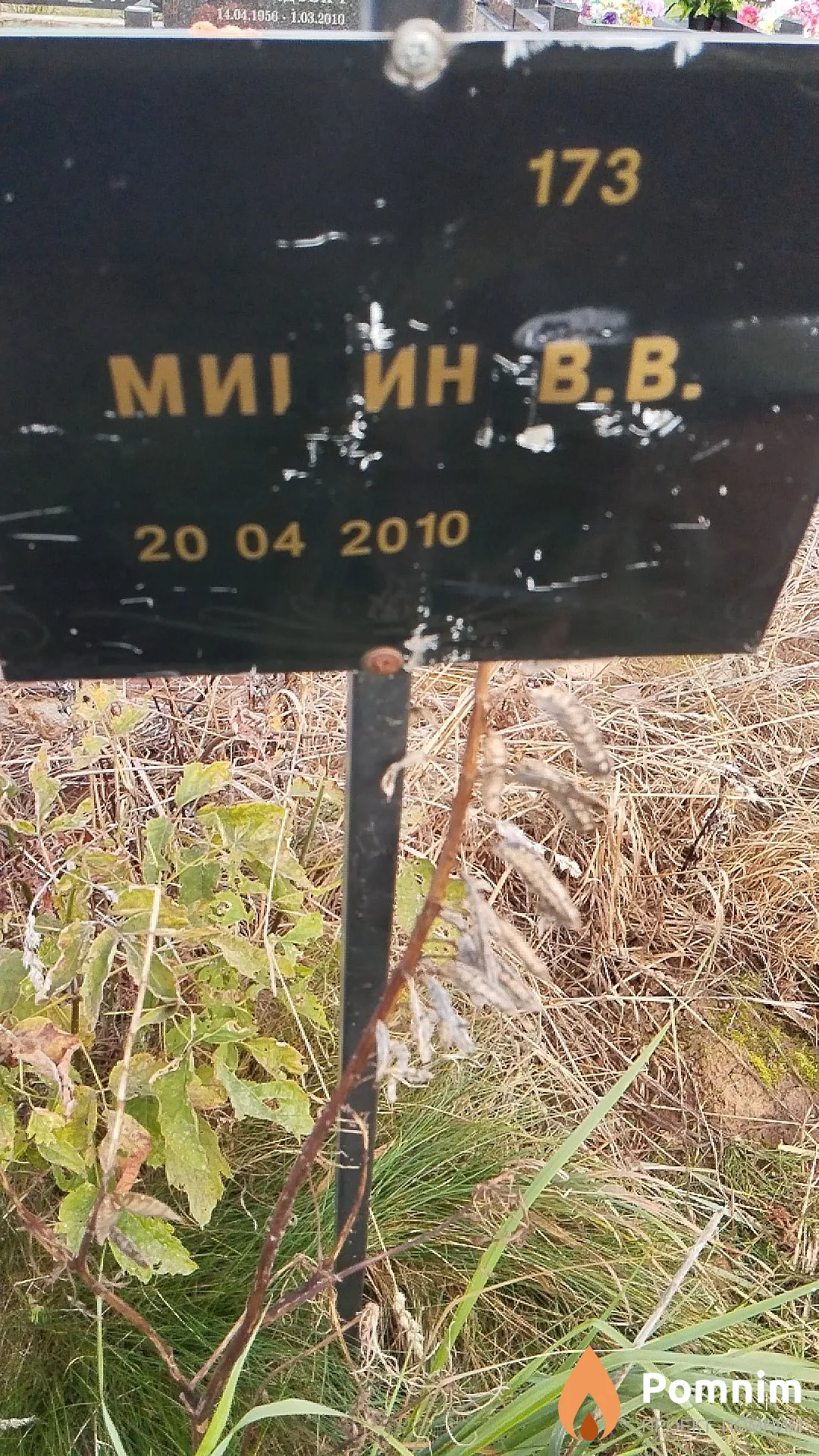 Мишин В. В.